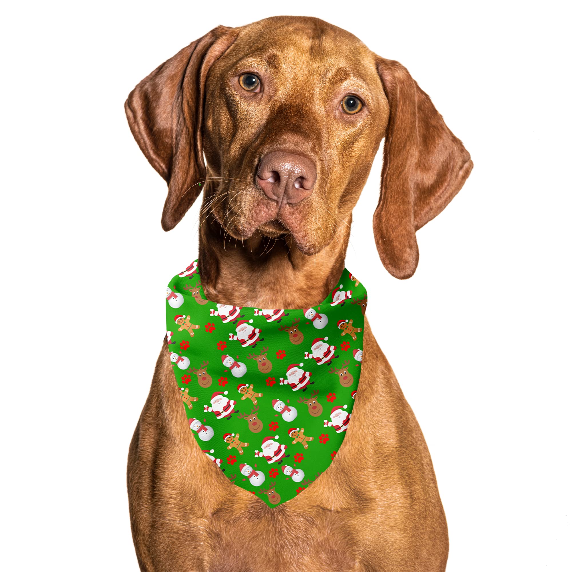 Cutie Ties Tie On Dog Bandana