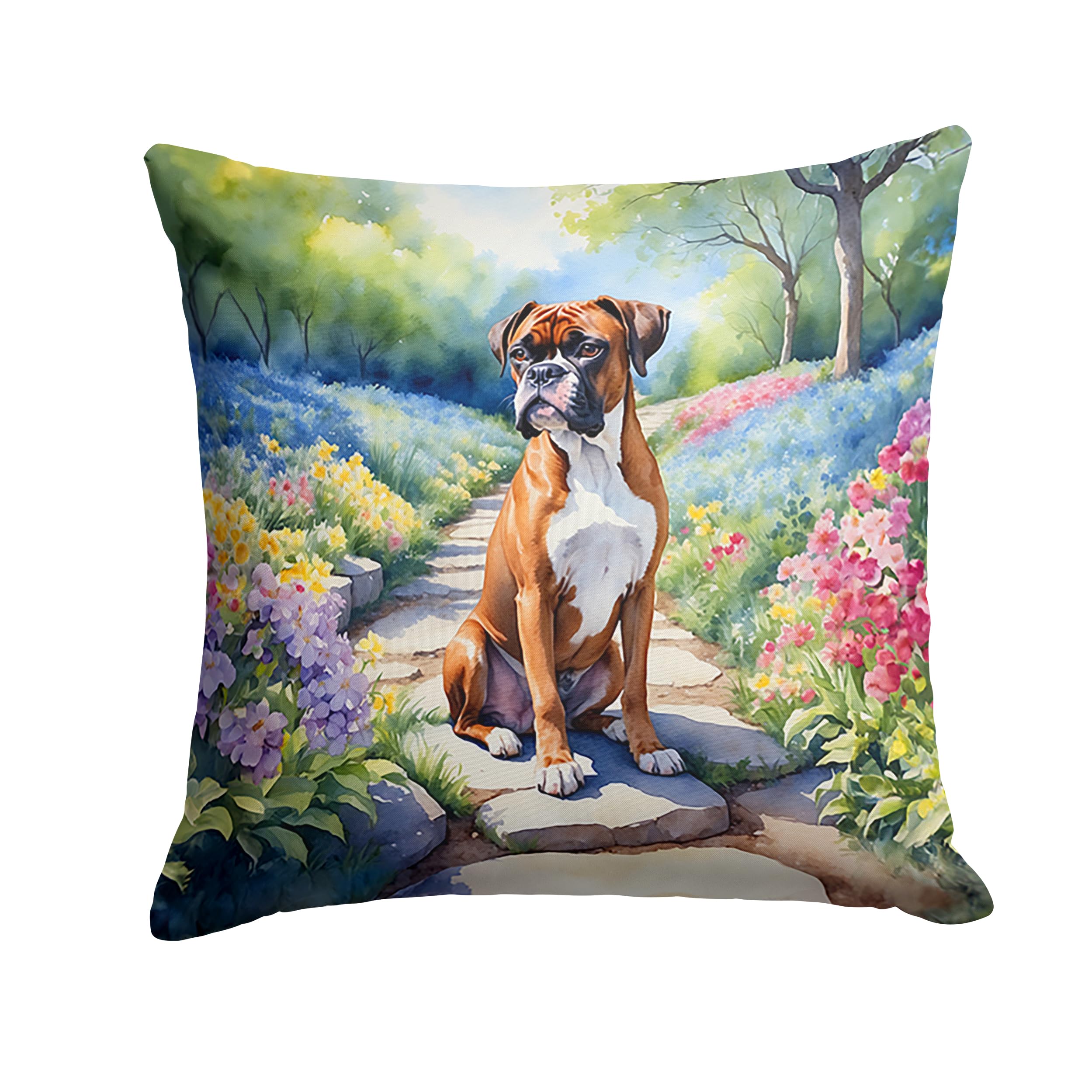 Boxer Spring Path Throw Pillow