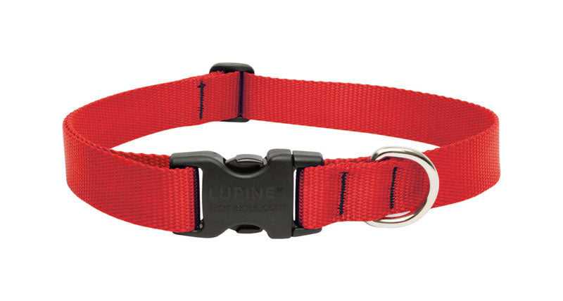 Dog Collar 12-20Adj Red (Pack Of 1)