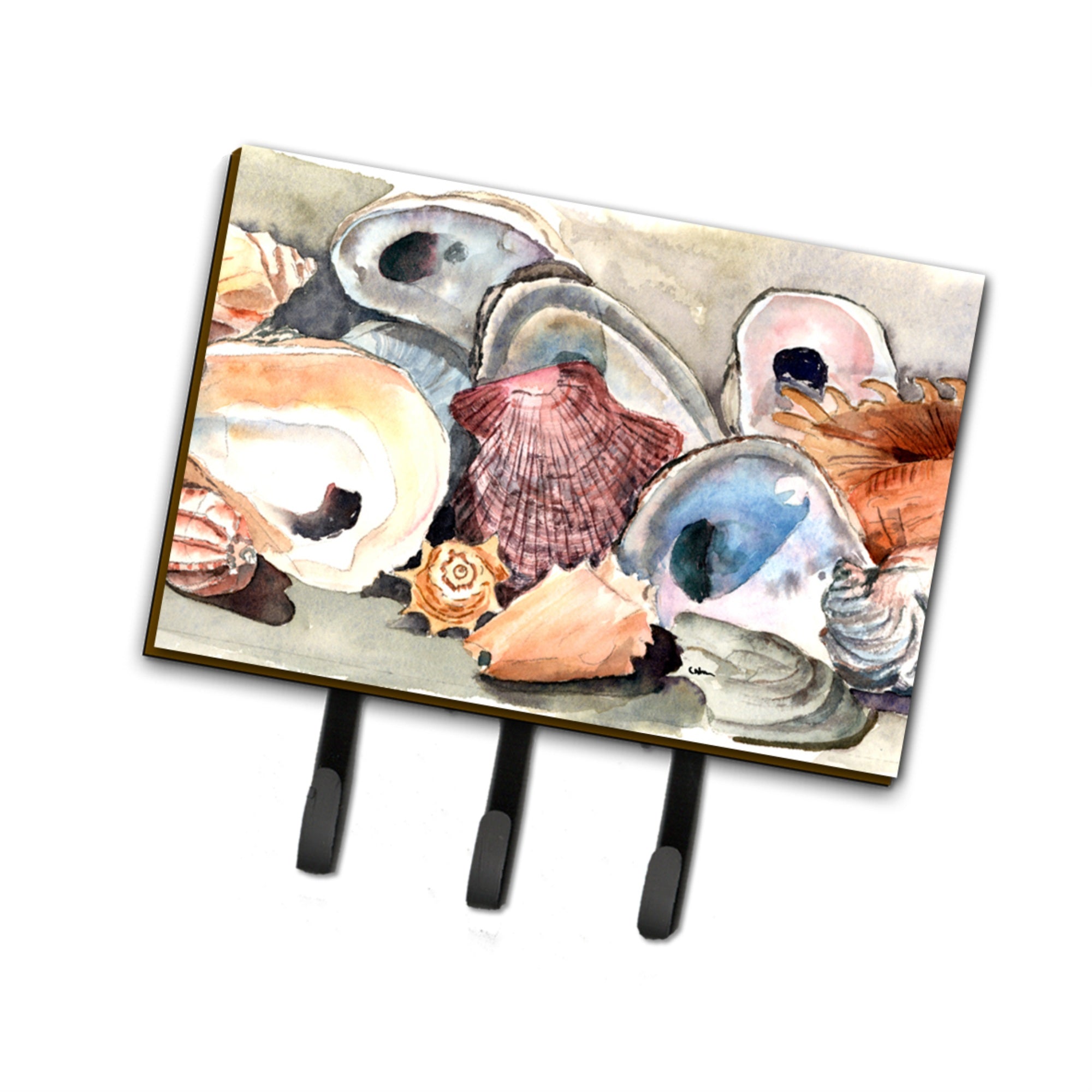 Caroline'S Treasures 8619Th68 Sea Shells Leash Or Key Holder, Large, Multicolor