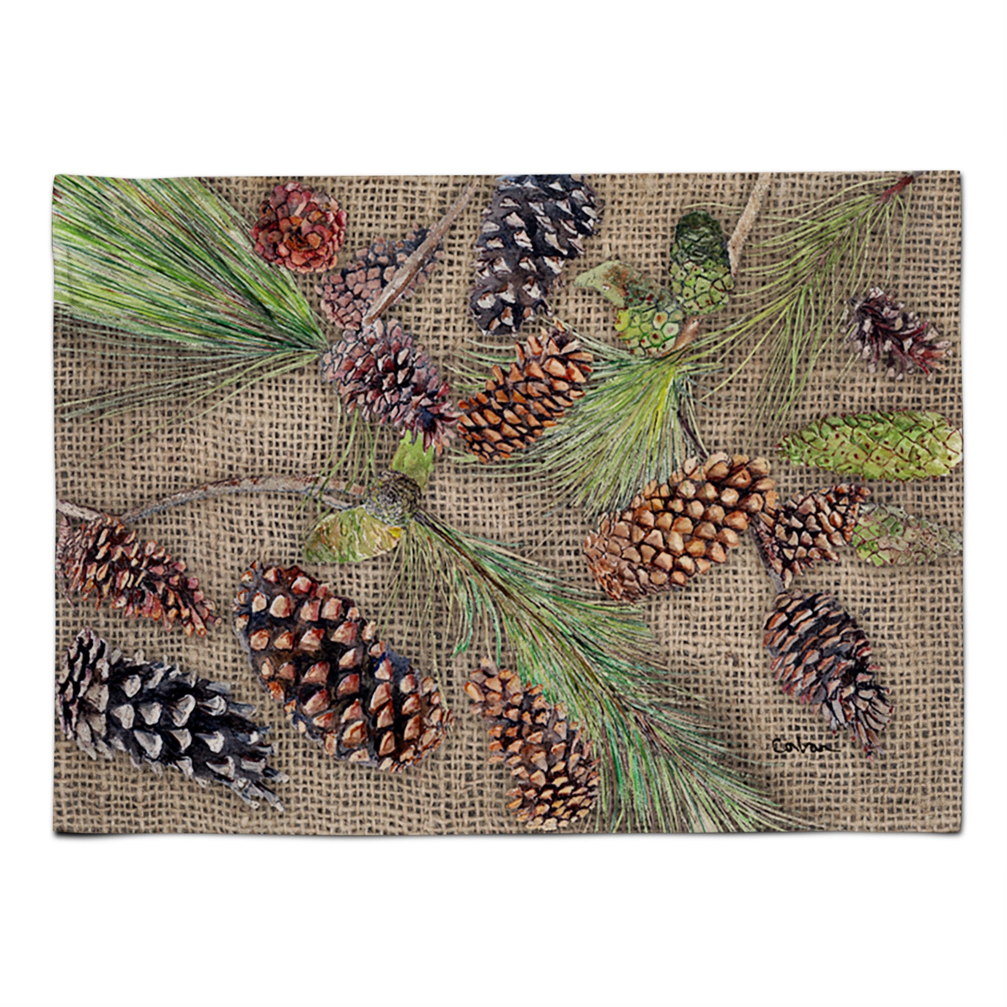 Caroline'S Treasures 8735Plmt Pine Cones Fabric Placemat, Multicolor