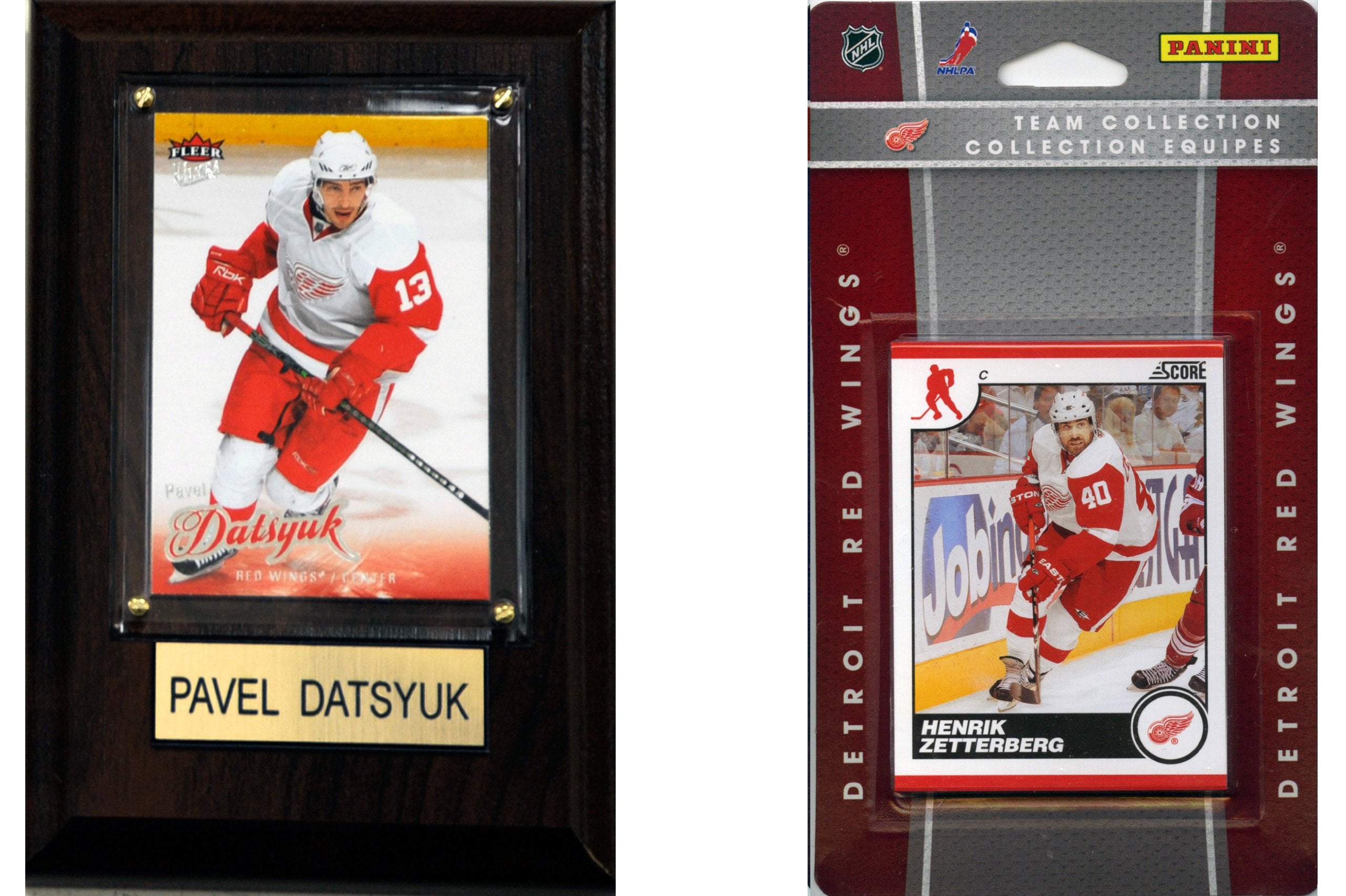 NHL Detroit Red Wings Fan Pack