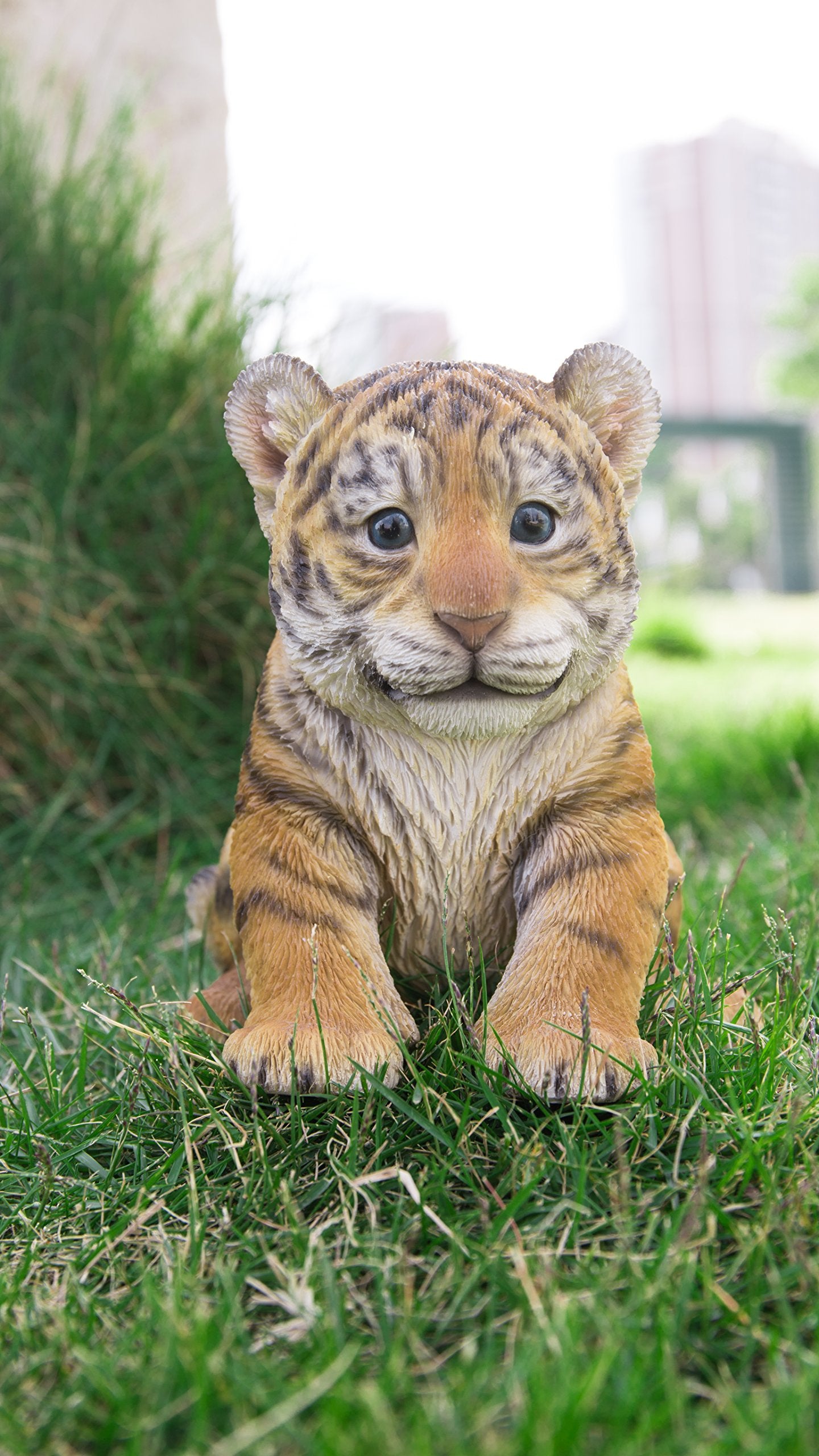 Hi-Line Gift Ltd 87709-B Sitting Tiger Cub Statue