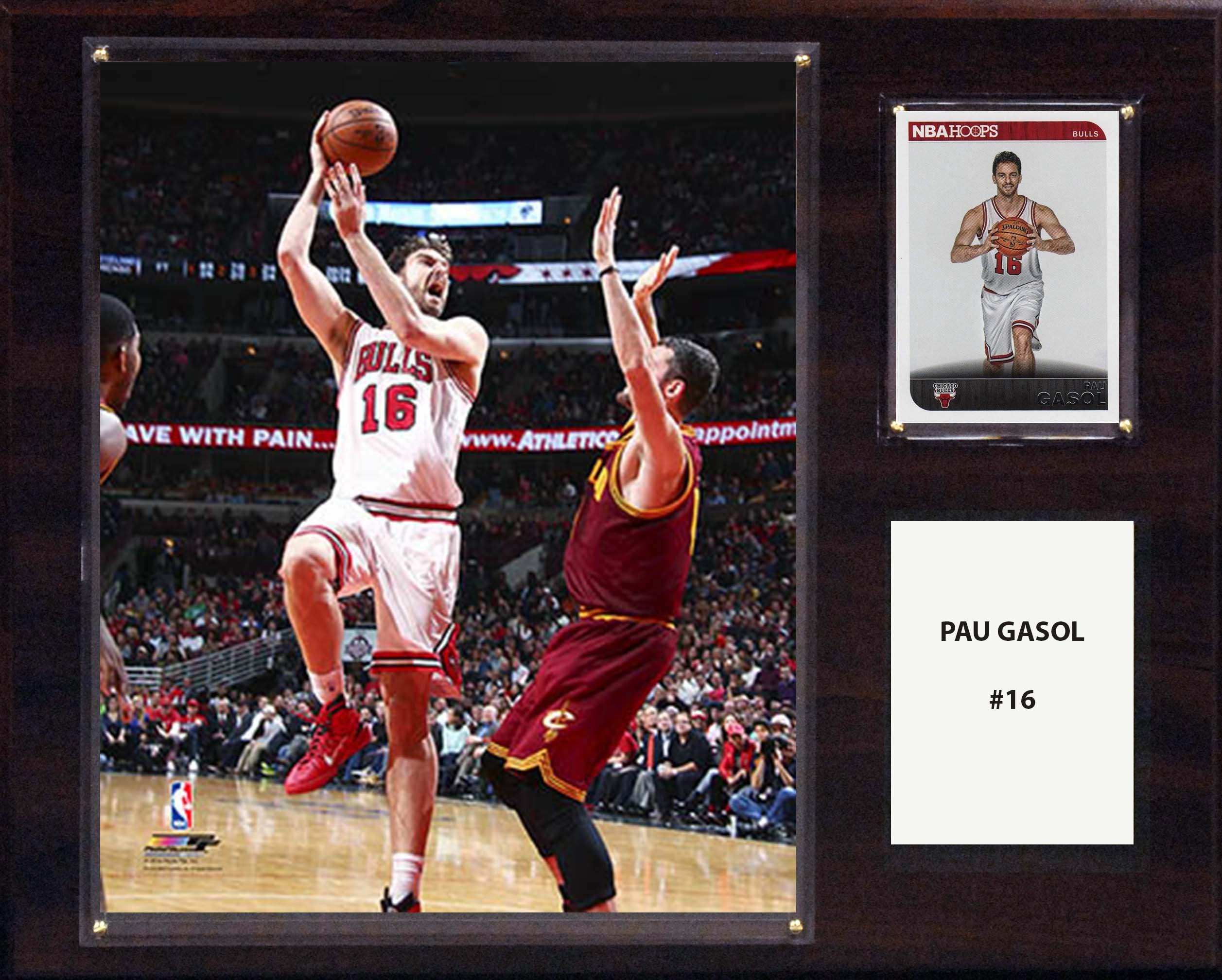 NBA 12x15″ Pau Gasol Chicago Bulls Player Plaque