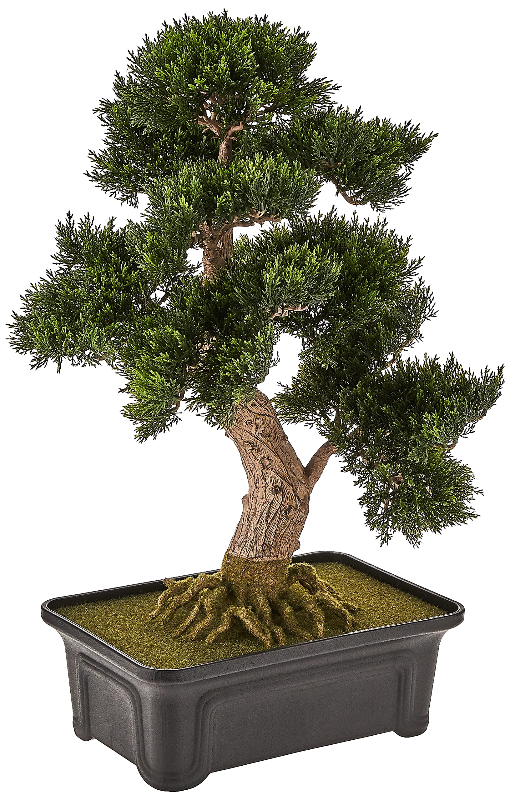 Cedar Bonsai 24″ Silk Plant