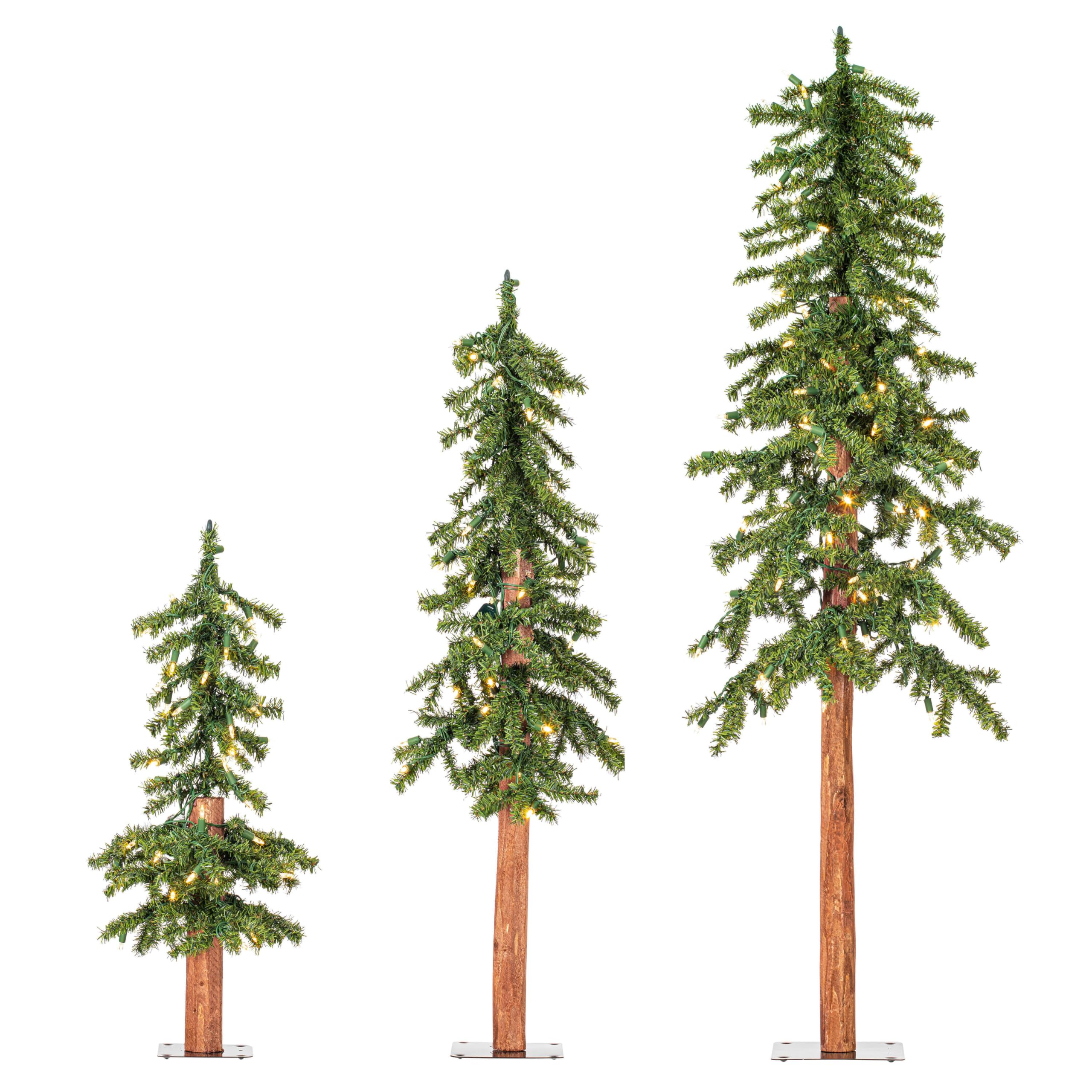 Casafoyer  2' 3' 4' Natural Alpine Set 200WWLED - A805181LED - (Pack Of 2)