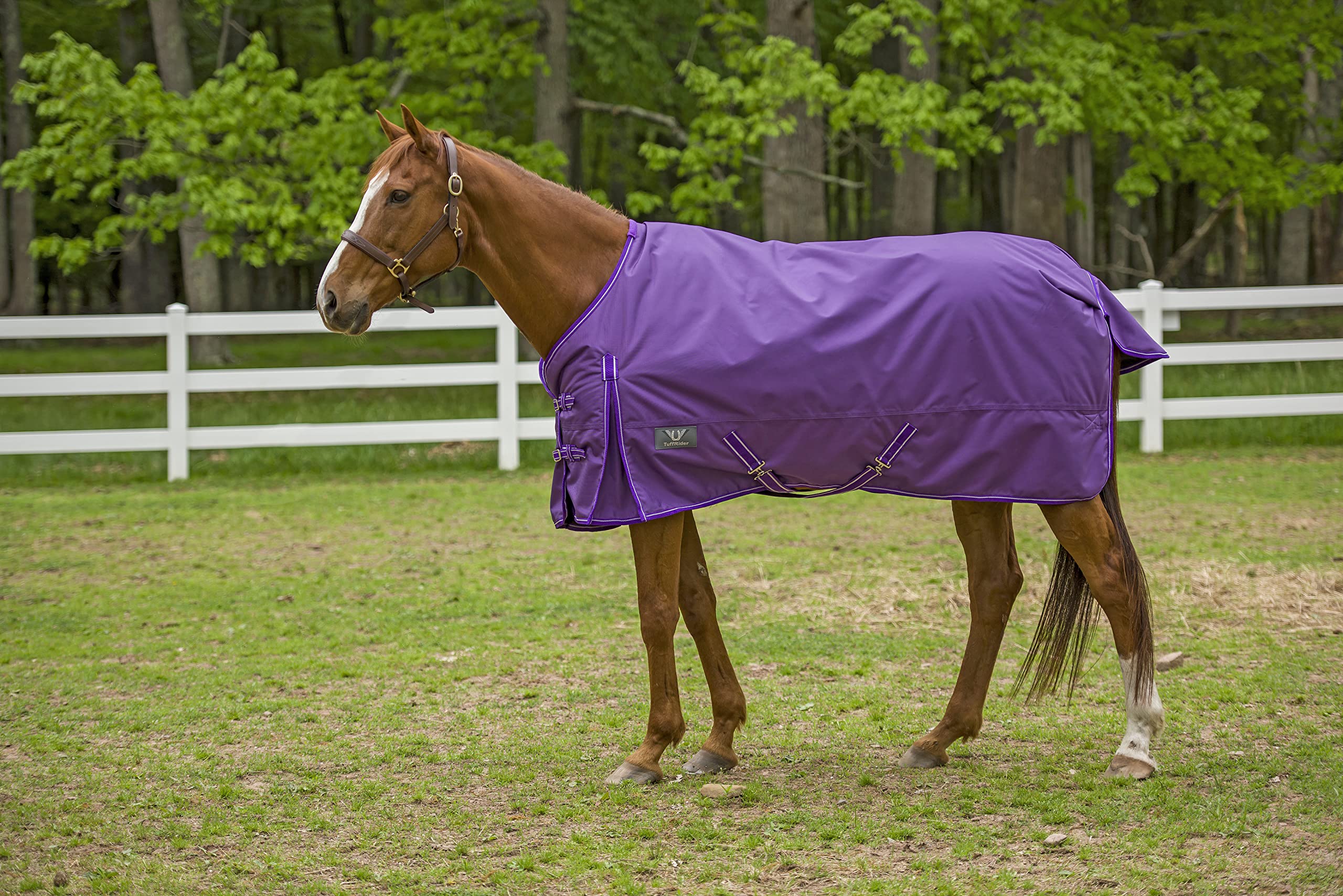 TuffRider 1600 D Super Comfy Standard Neck Blanket