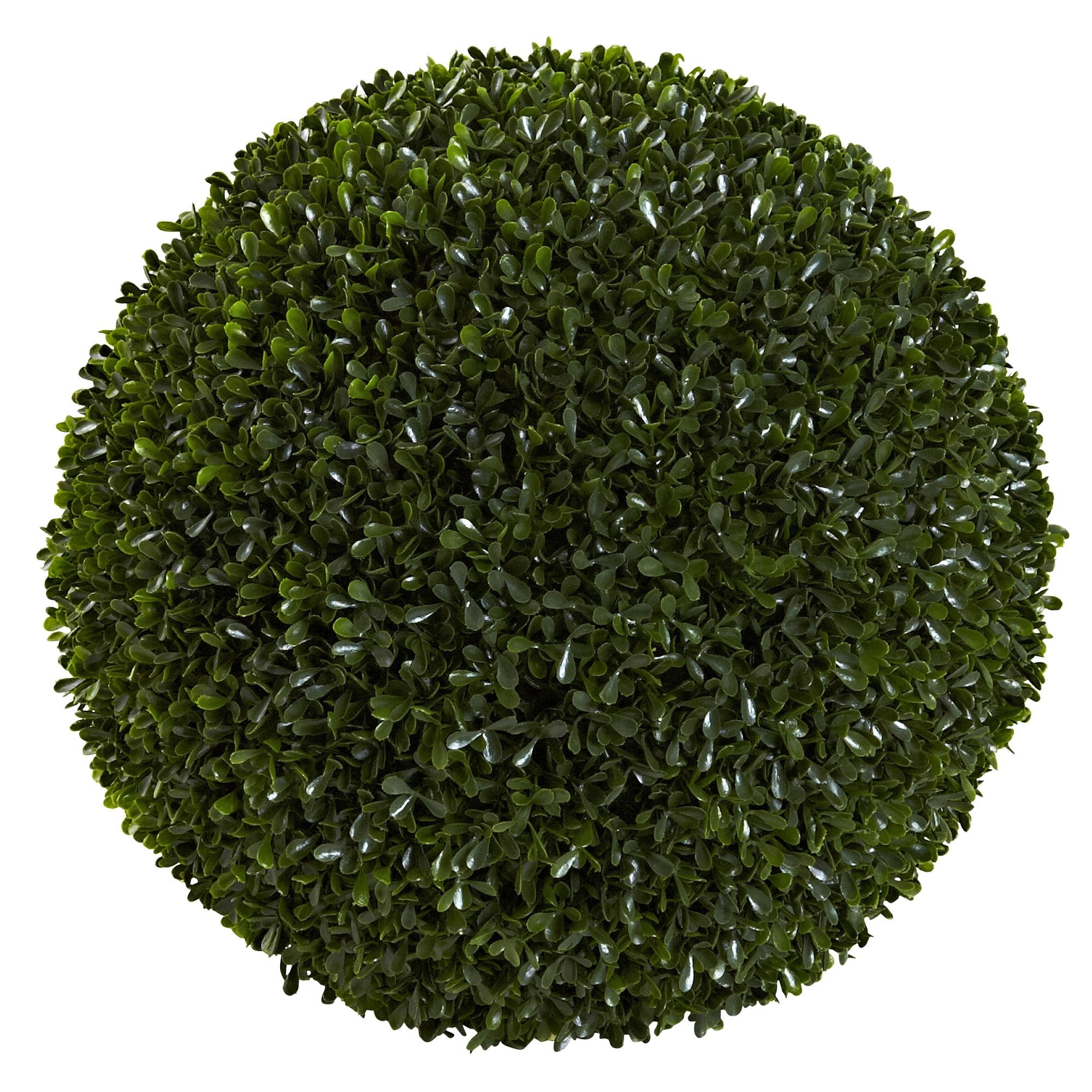 14????Boxwood Ball (Indoor/Outdoor)