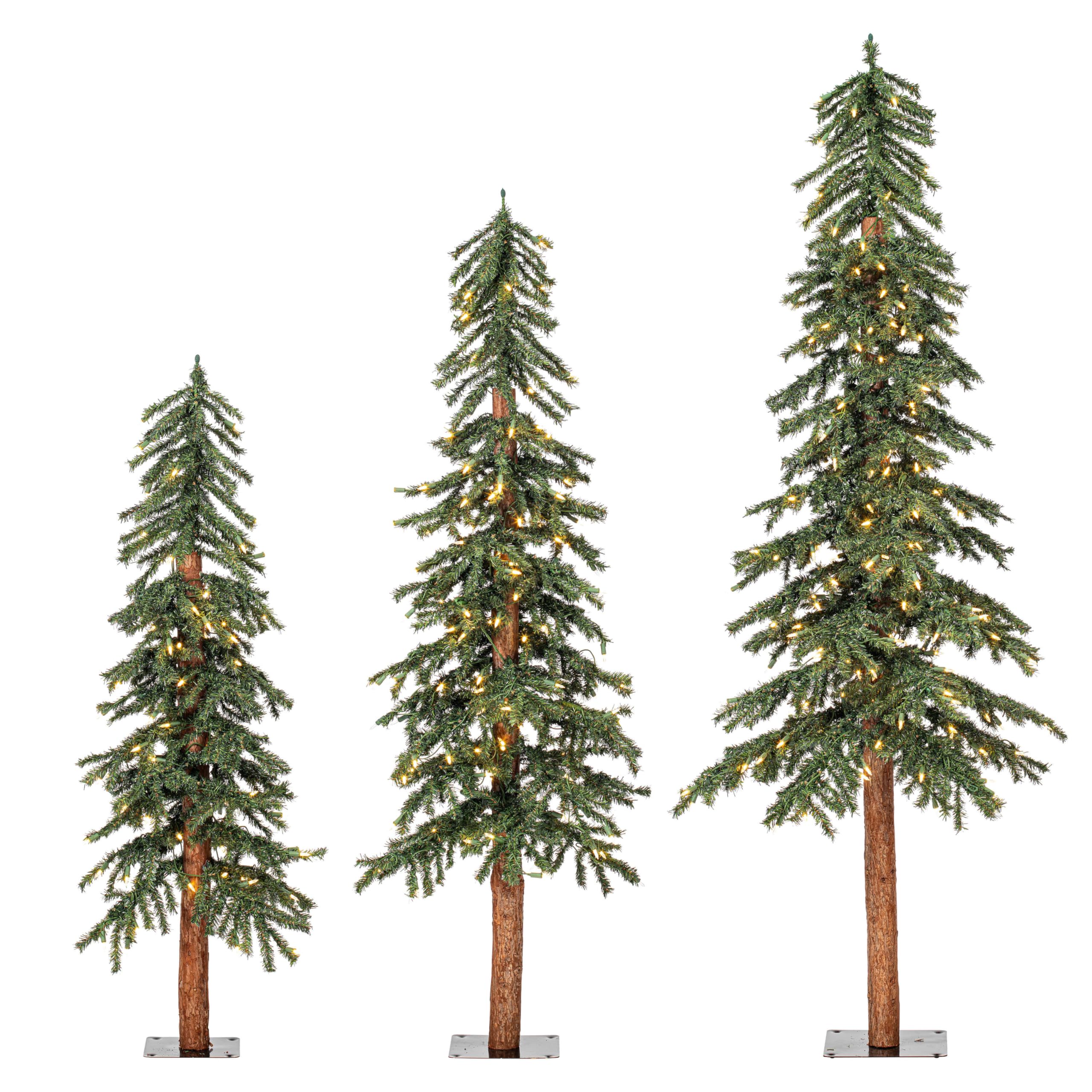 Casafoyer  4' 5' 6' Natural Alpine Set 450WWLED - A805184LED - (Pack Of 2)