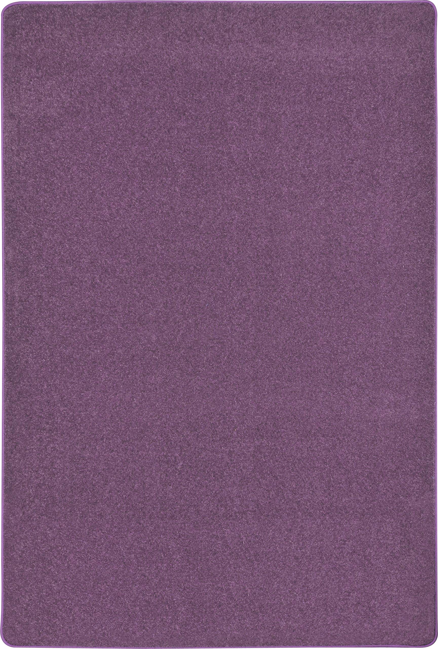 Endurance 12 x 18 area rug in color Purple
