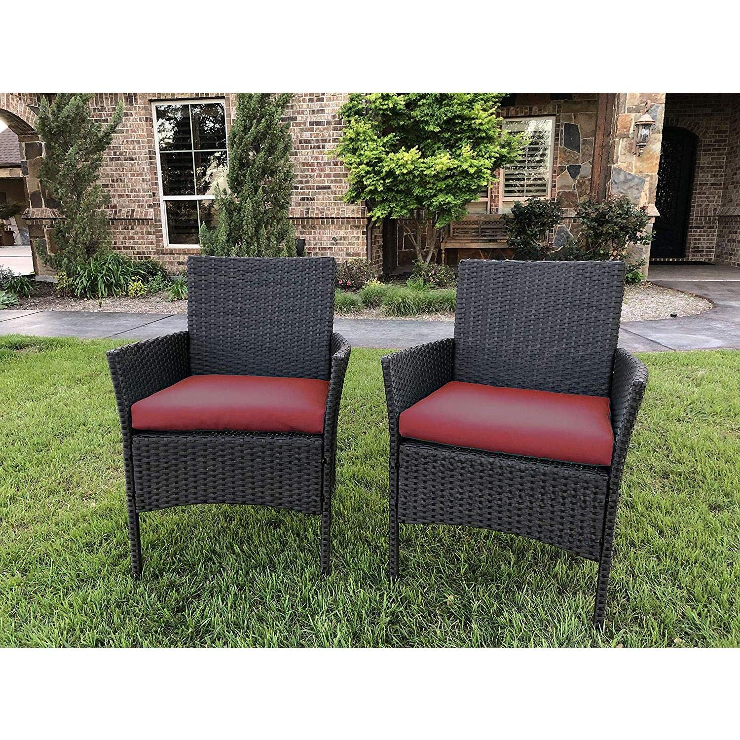 Resin Wicker/Steel Contemporary Arm Chair with Cushions  (Set of 2)