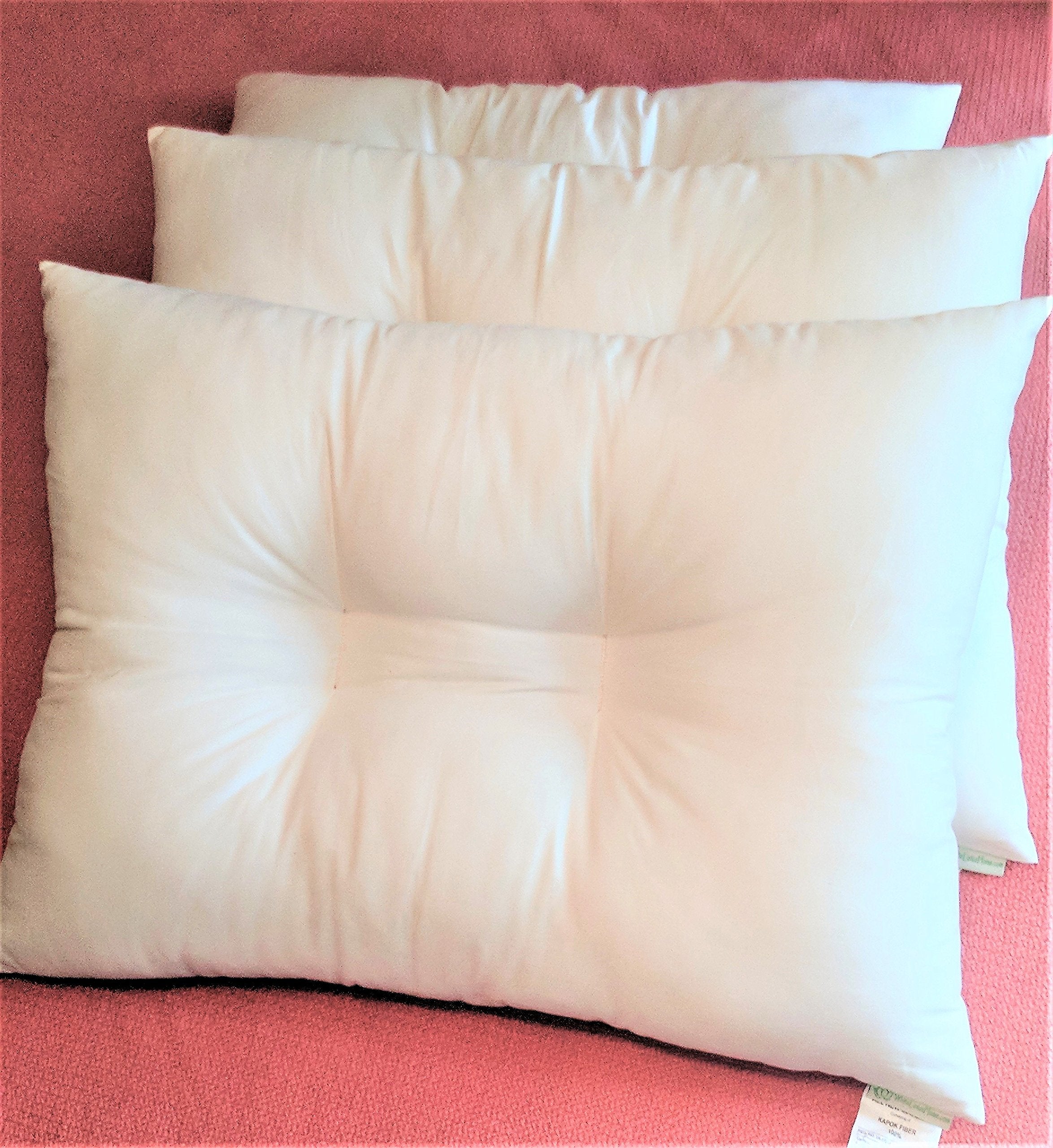Kapok KaPillow Queen Med Pillow w/zip in Org Sateen Sheeting Case