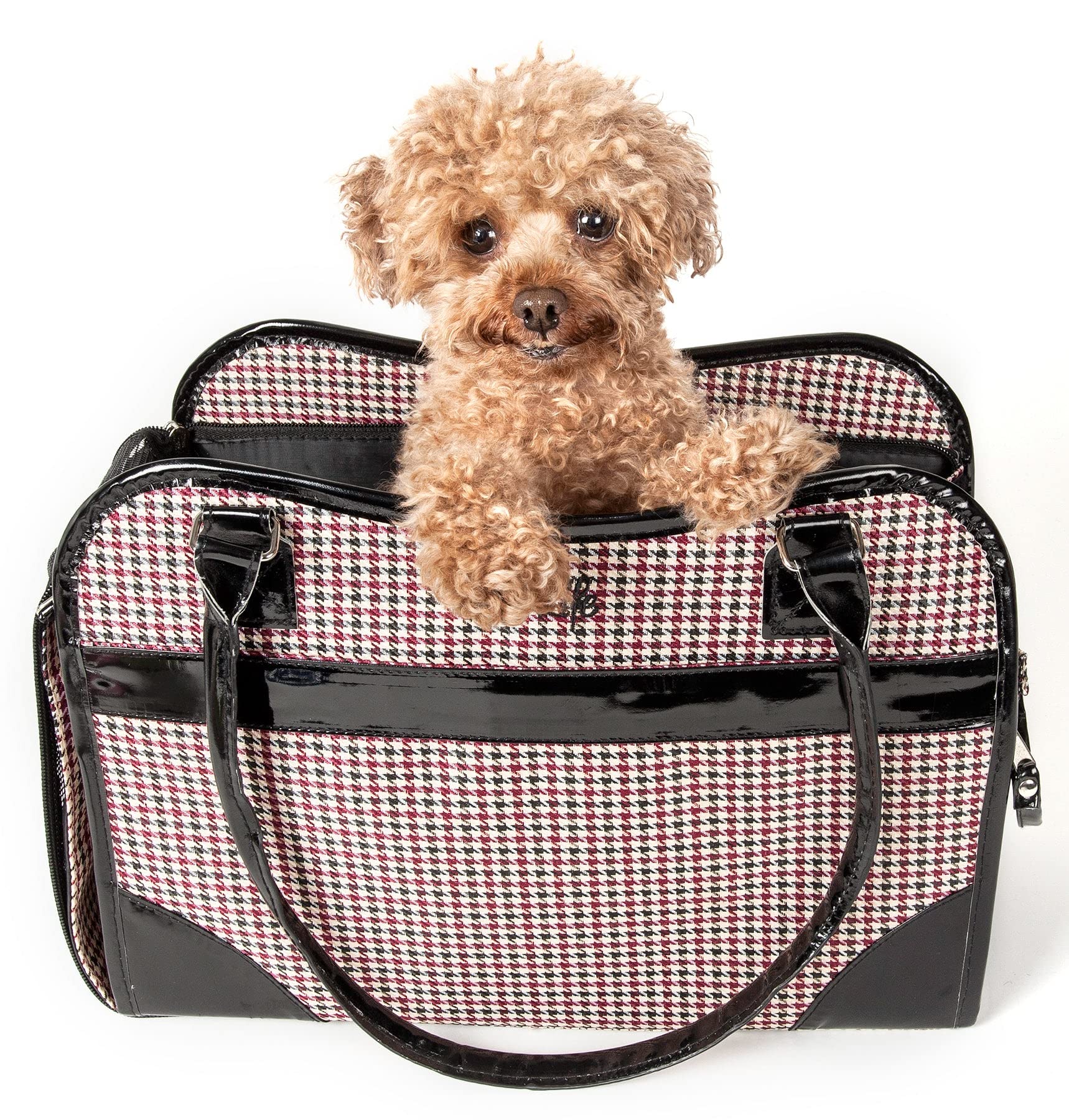 Exquisite Handbag Fashion Pet Carrier