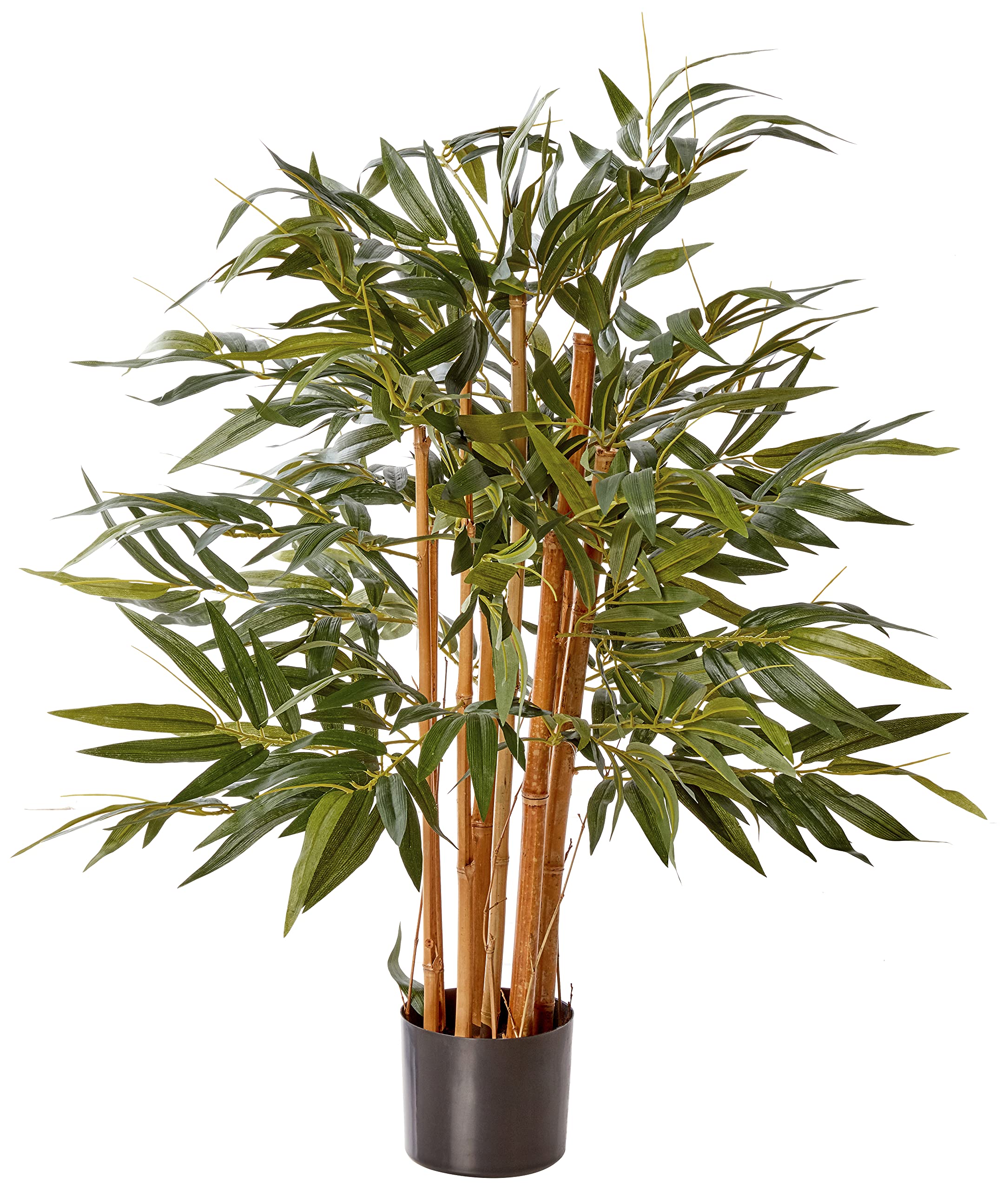 3 Biggy Bamboo Silk Tree