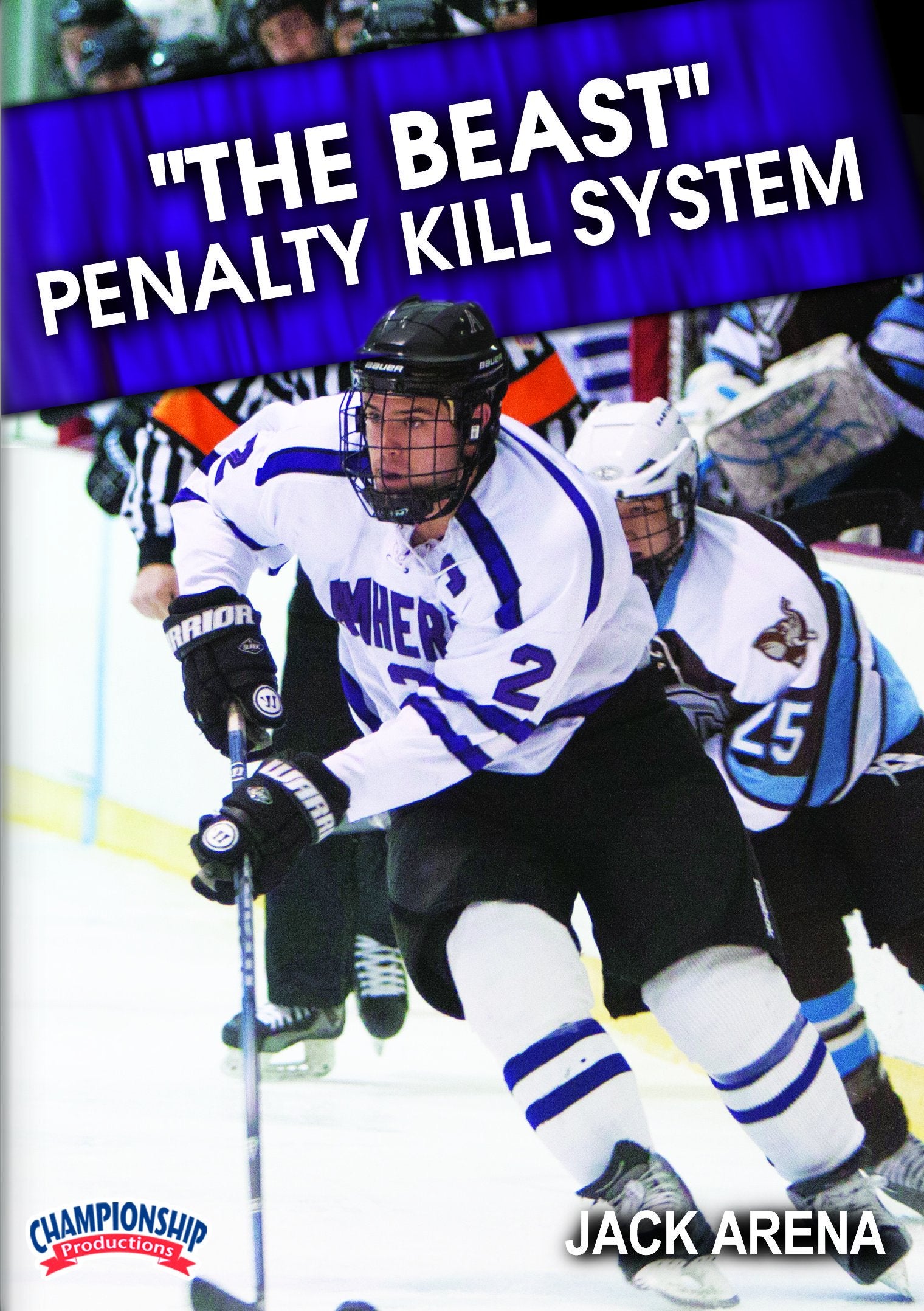 THEBEASTPENALTYKILLSYSTEM(ARENA)
