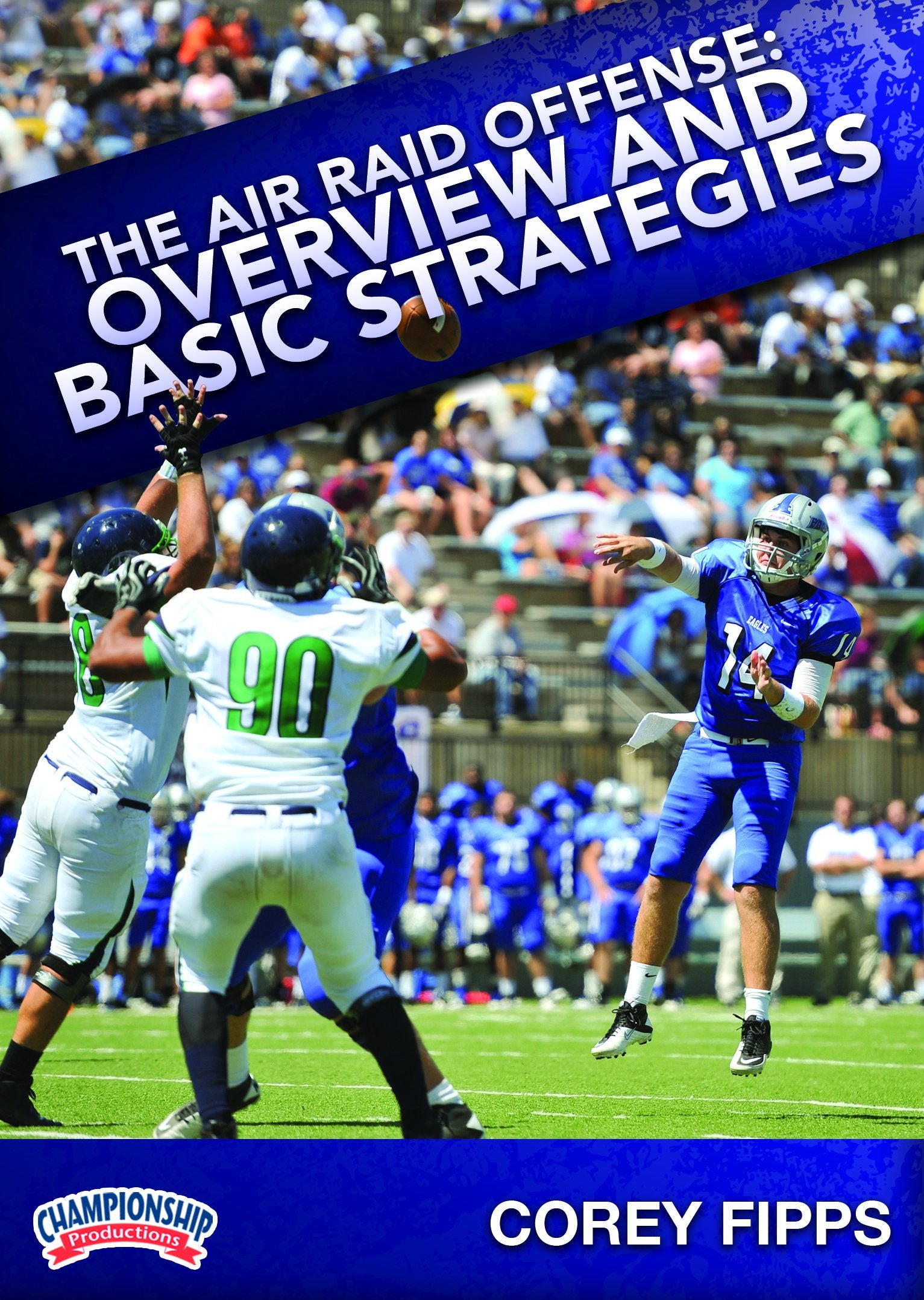 THEAIRRAIDOFFENSE:OVERVIEWANDBASICSTRATEGIES(FIPPS)
