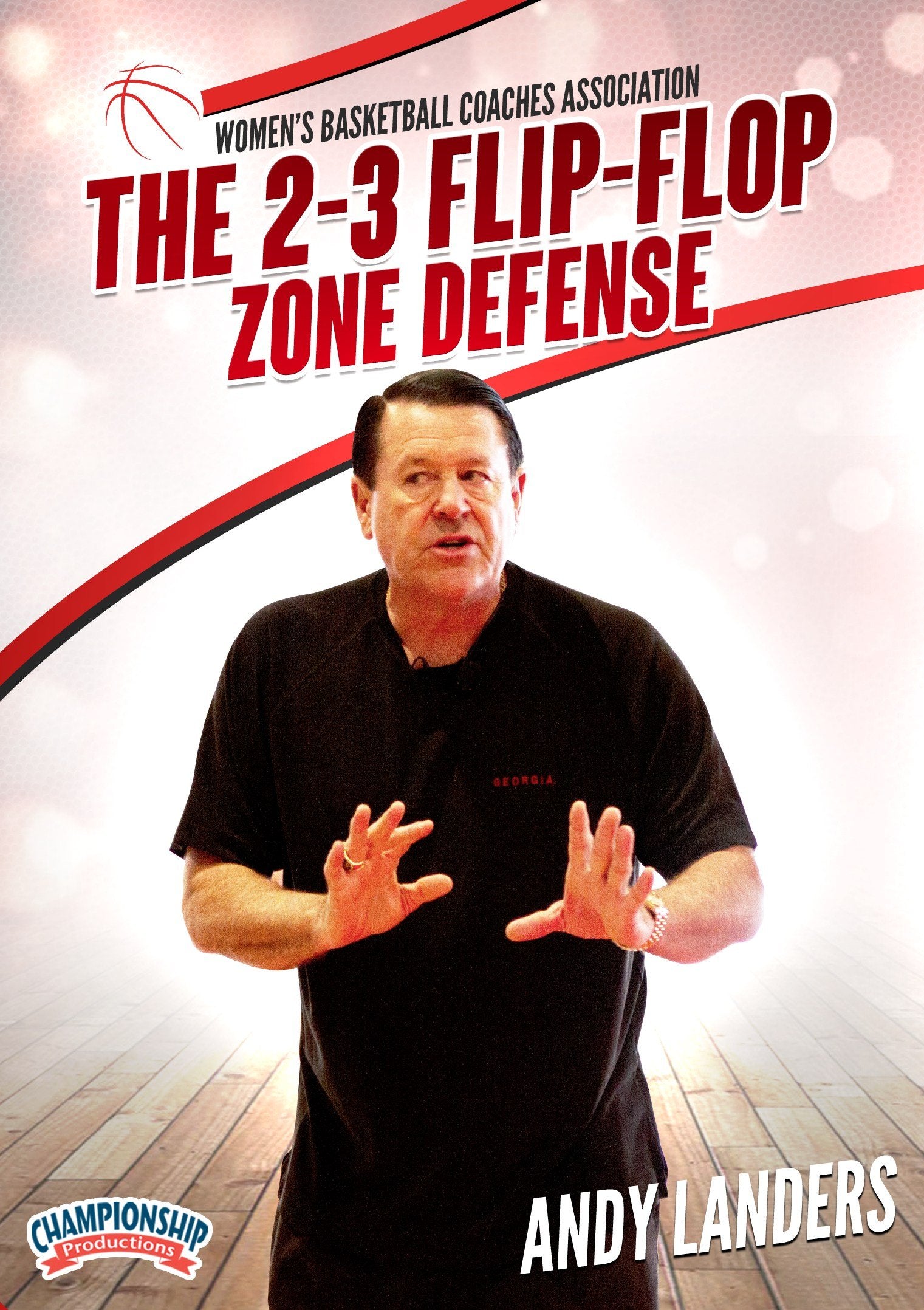 THE2-3FLIP-FLOPZONEDEFENSE(LANDERS)