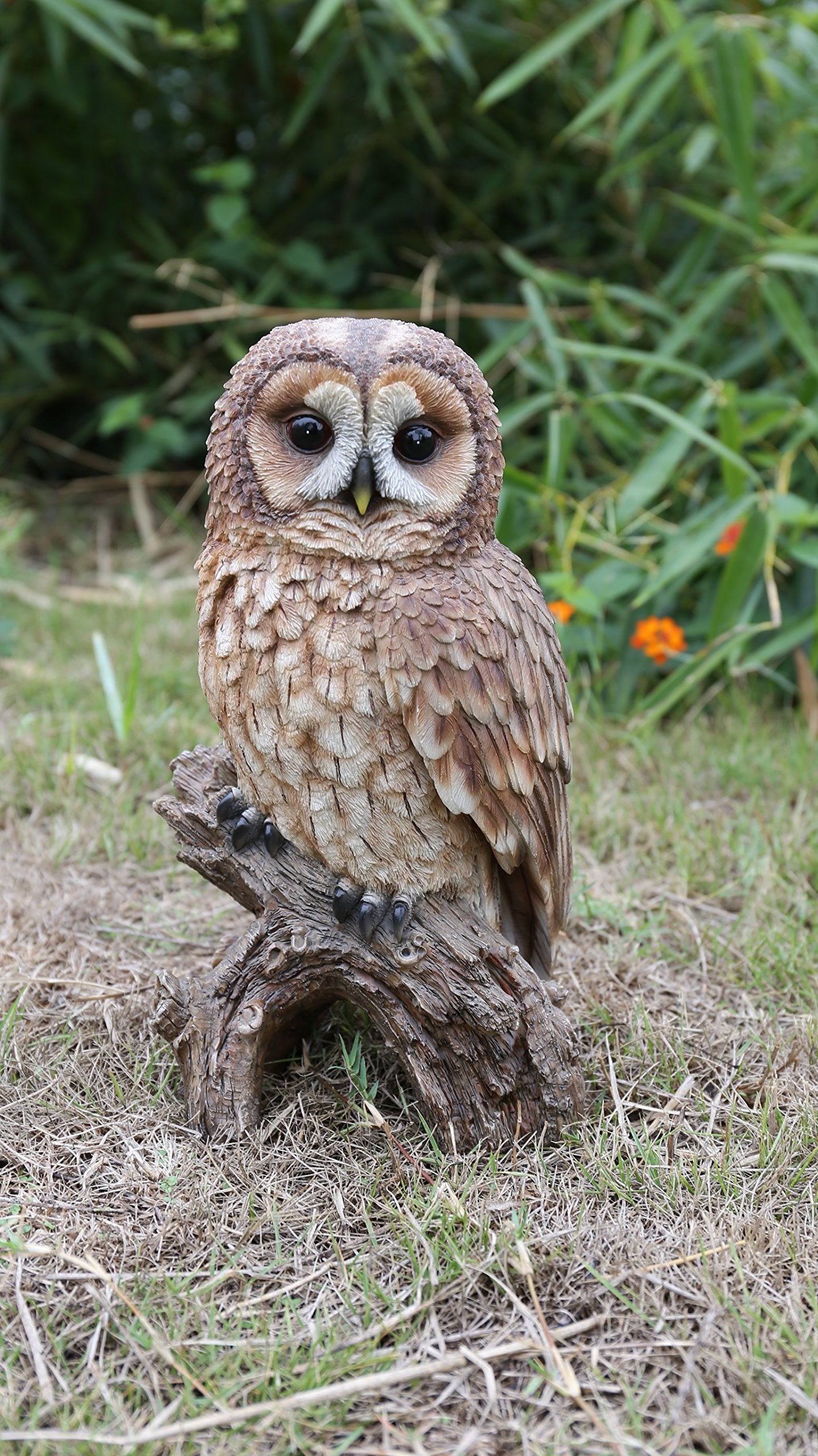 Hi-Line Gift Ltd 87717-C Brown Owl On Stump
