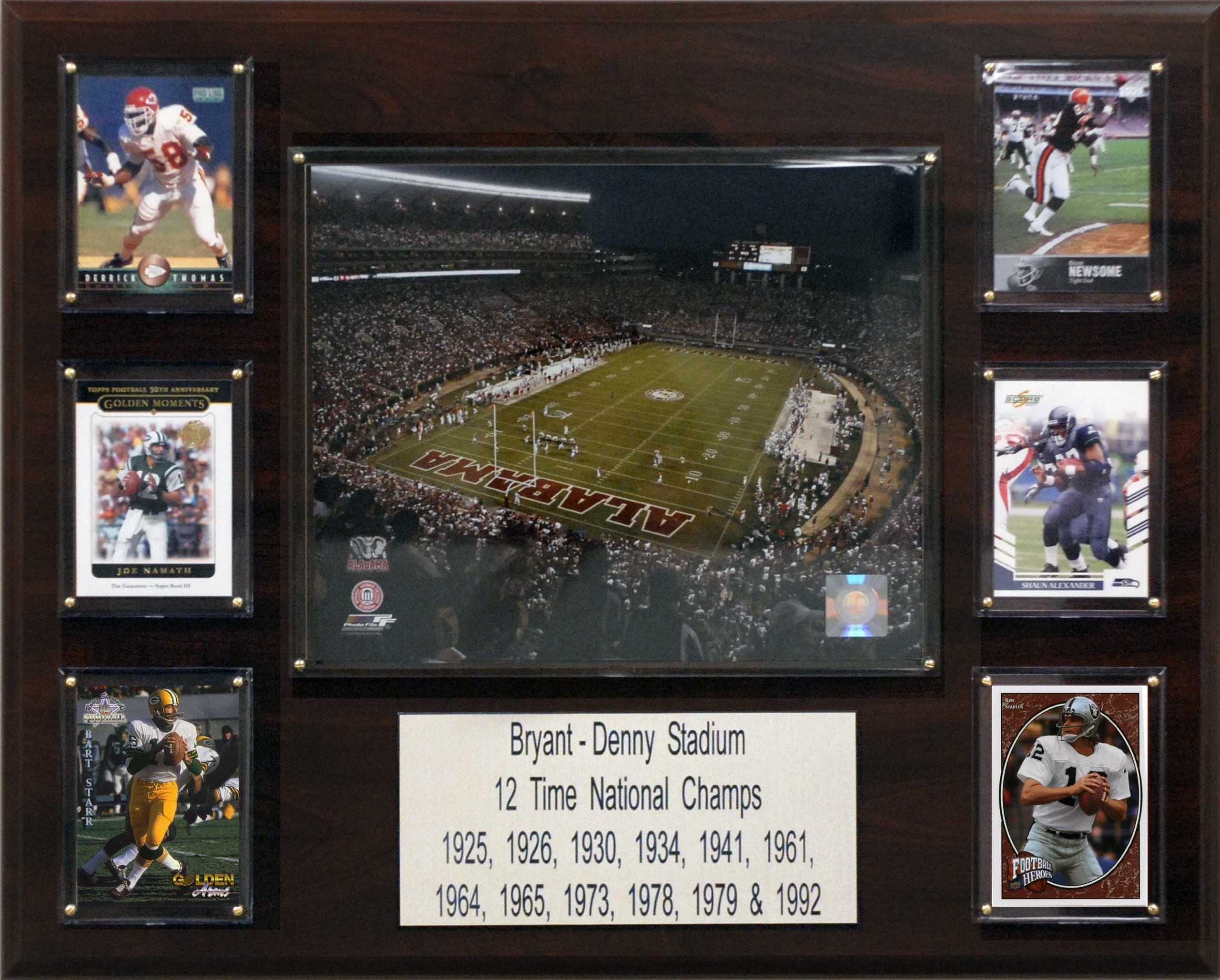 NCAA Football 16x20″ Bryant-Denny Stadium Stadium Plaque