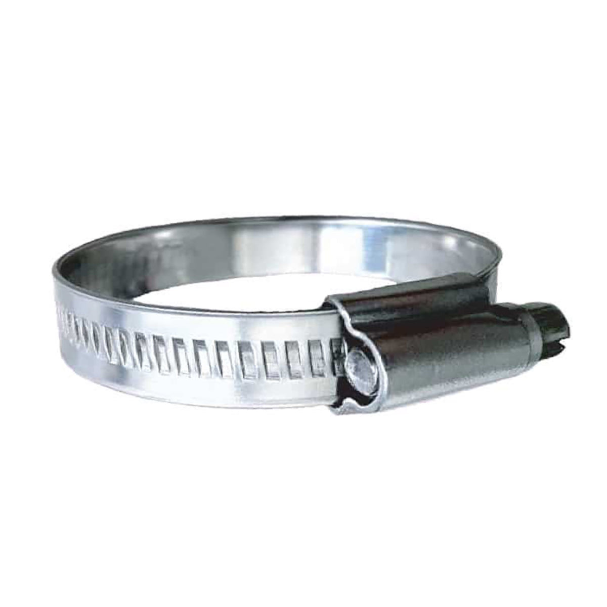 Trident Marine 316 Ss Non Perforated Worm Gear Clamp