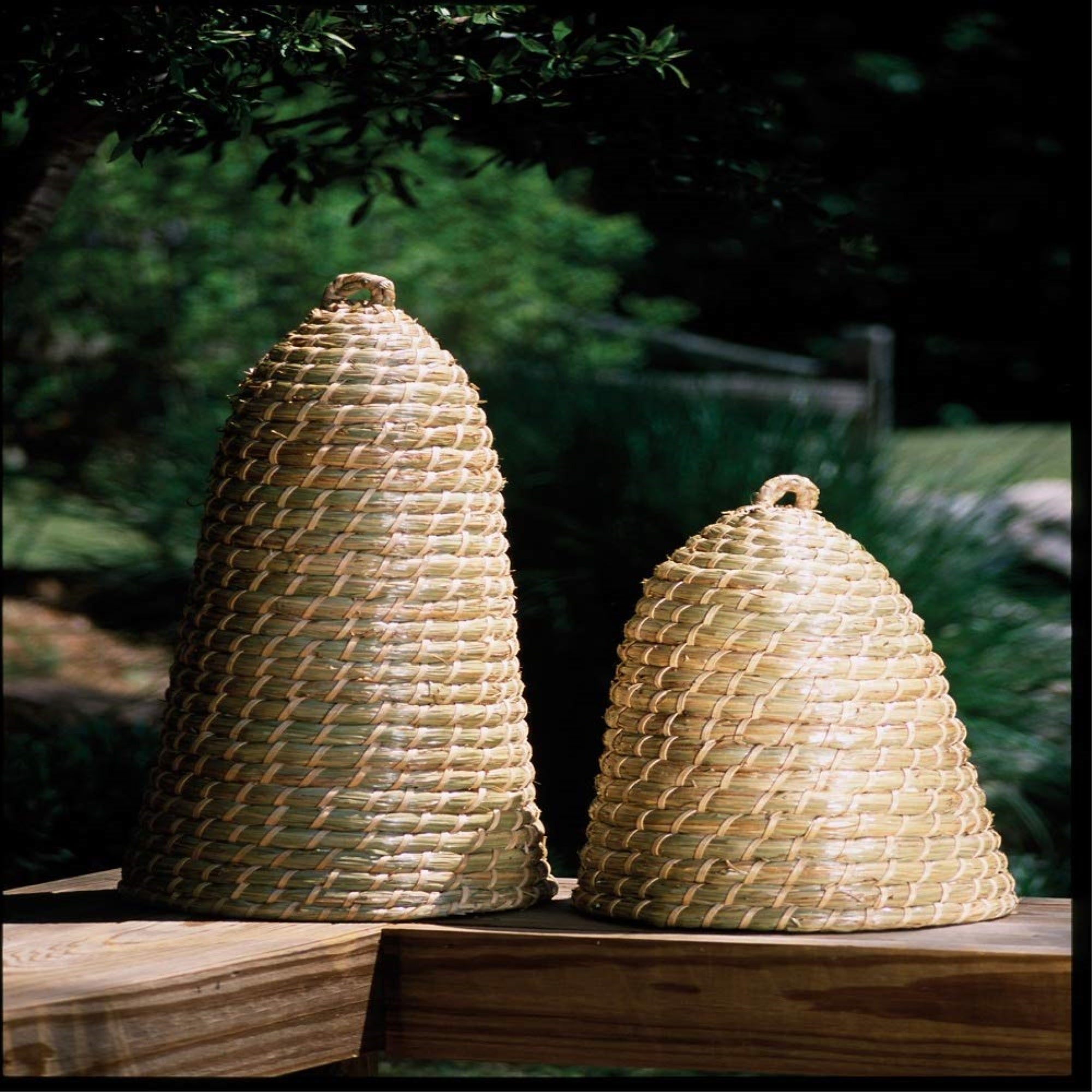 Short Bee Skep