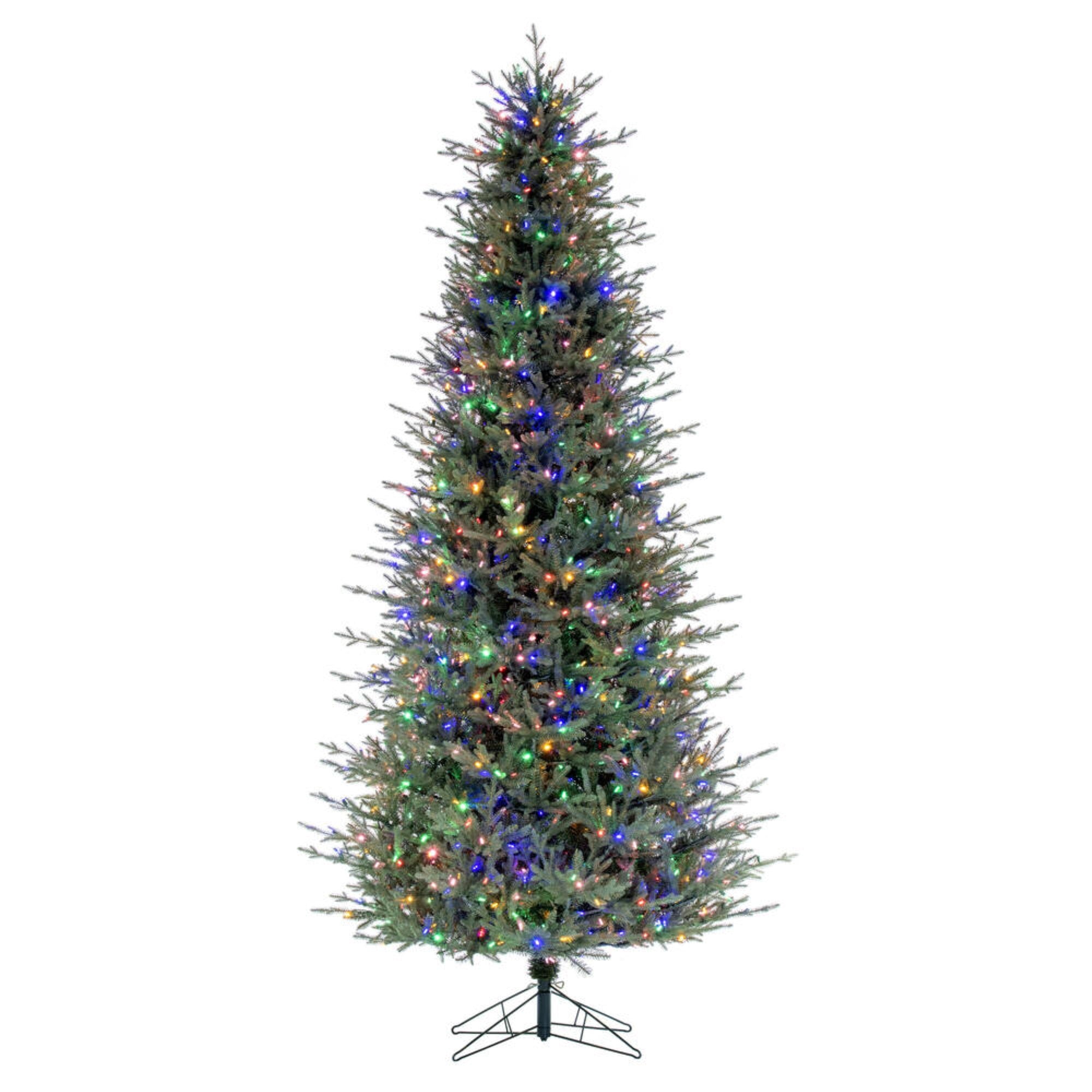 12' x 75” Slim Itasca Fraser Fir 2000MU