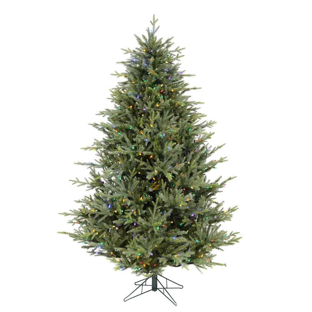 Vickerman 9.5' x 76” Itasca Fraser 1300Multi - A110387LED