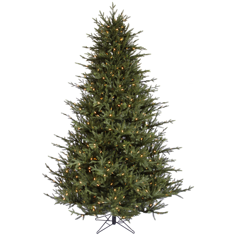 Vickerman 12' x 93” Itasca Fraser 2100WmWht - A110391LED
