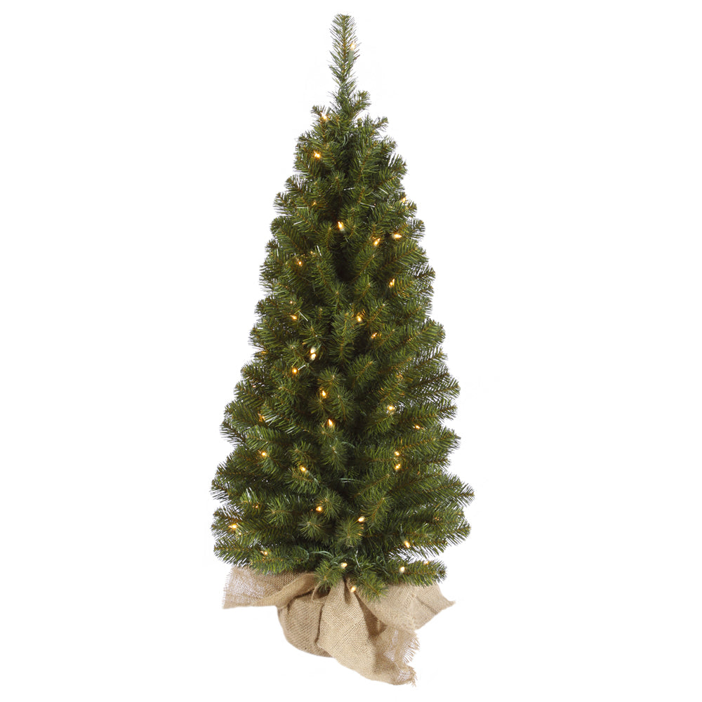Vickerman 36″ x 18″ Felton Pine 185 Tips - A116036