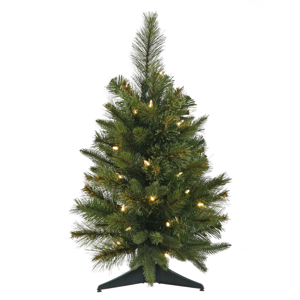 Vickerman 24″ x 16″ Cashmere Tree 30WmWht BO Timer - A118525LED