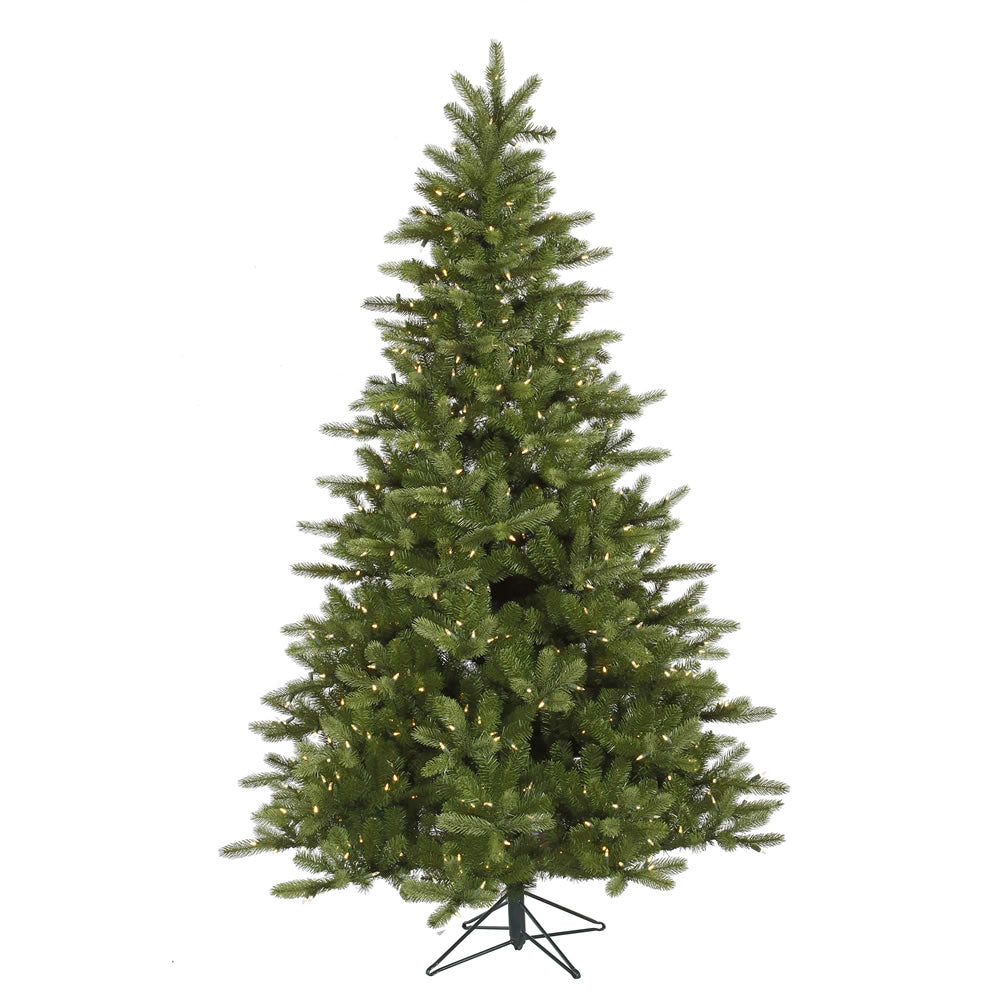 Vickerman 5.5' X 41″ King Spruce LED300 WmWht - A124456LED