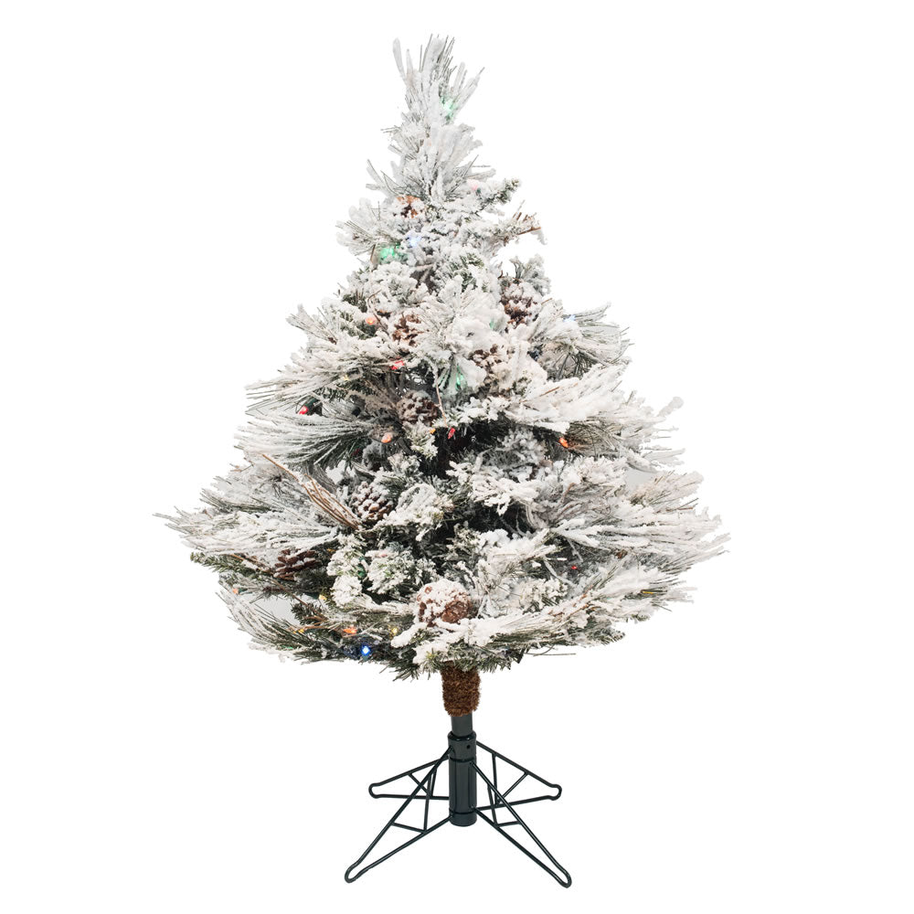 Vickerman 3.5' x 35″ Flk Alberta w/Cone 150LED Mul - A155237LED