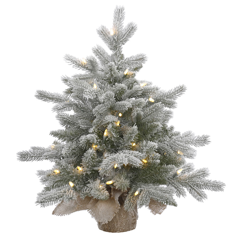 Vickerman 24″ x 24″ Frosted Sable Tree DuraLt 50CL - A156621