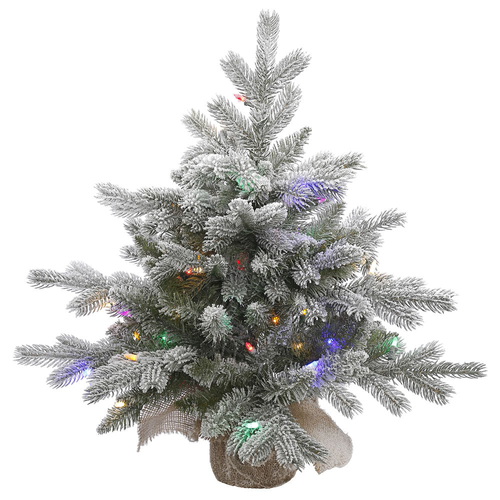 Vickerman 24″ x 24″ Frosted Sable Tree 50LED Multi - A156622LED