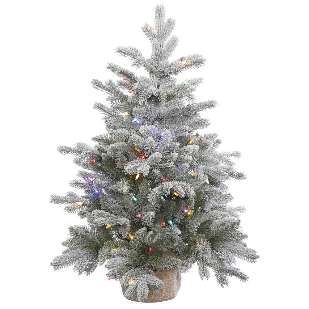 Vickerman 36″ x 28″ Frosted Sable Tree 100LED MU - A156632LED
