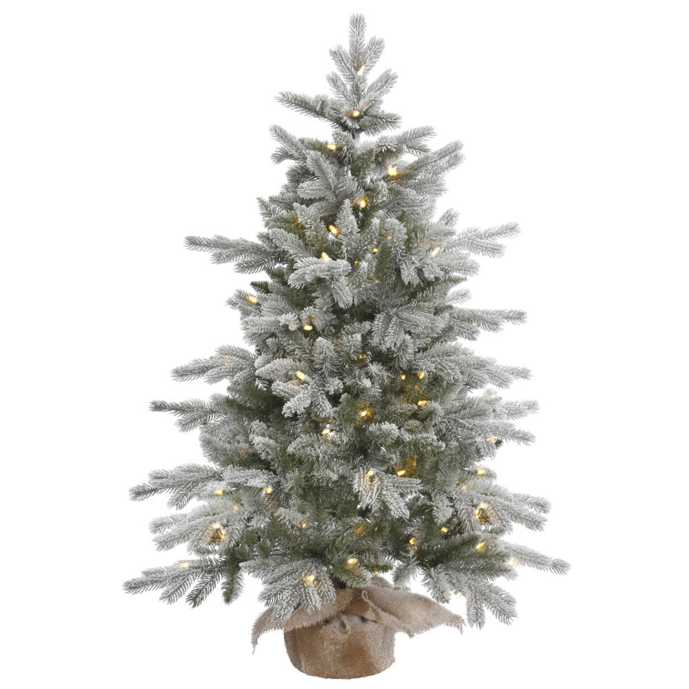Vickerman 48″ x 32″ Frost Sable Pine 100LED WmWht - A156641LED