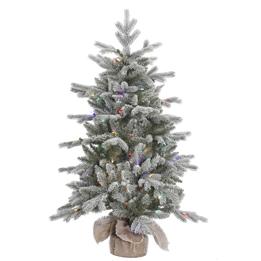 Vickerman 48″ x 32″ Frost Sable Pine 100LED Multi - A156642LED