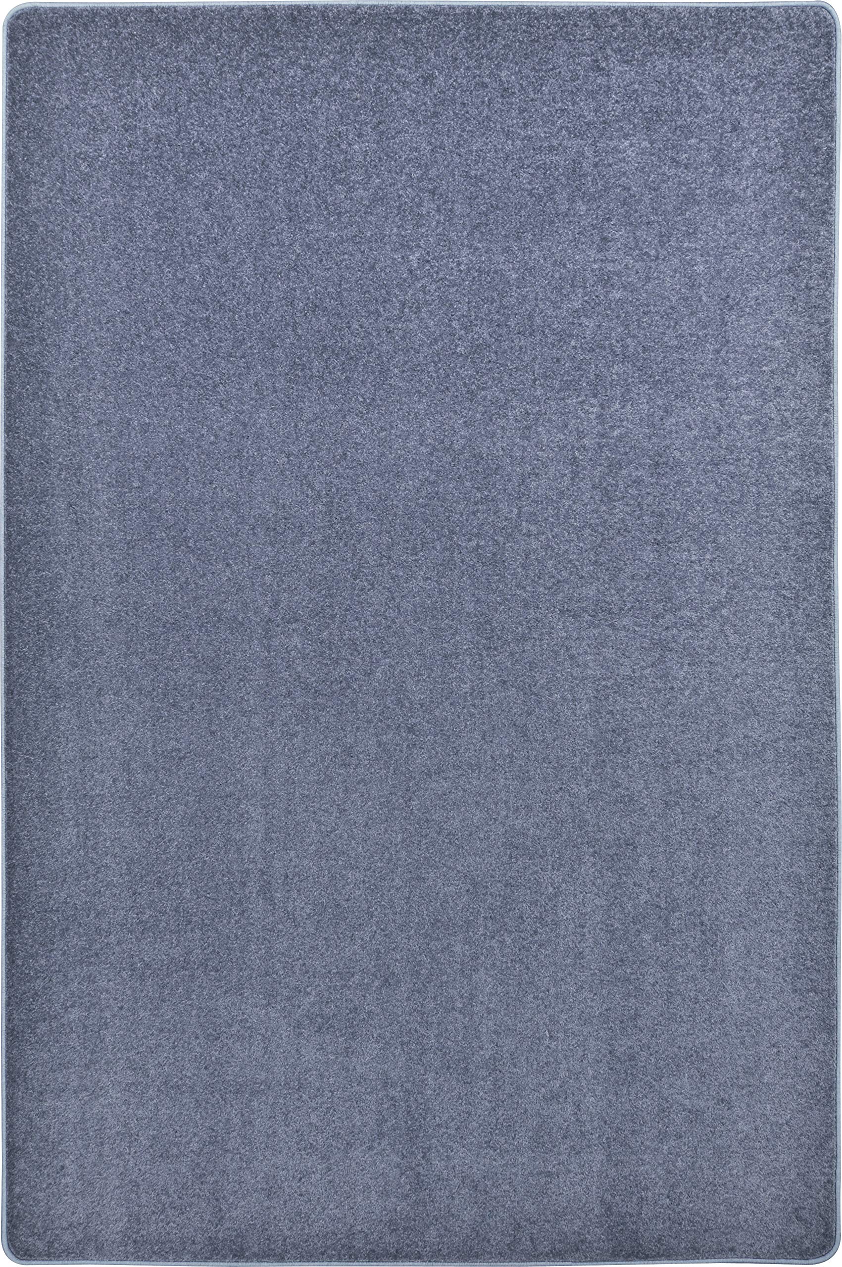 Endurance 4 x 6 area rug in color Glacier Blue