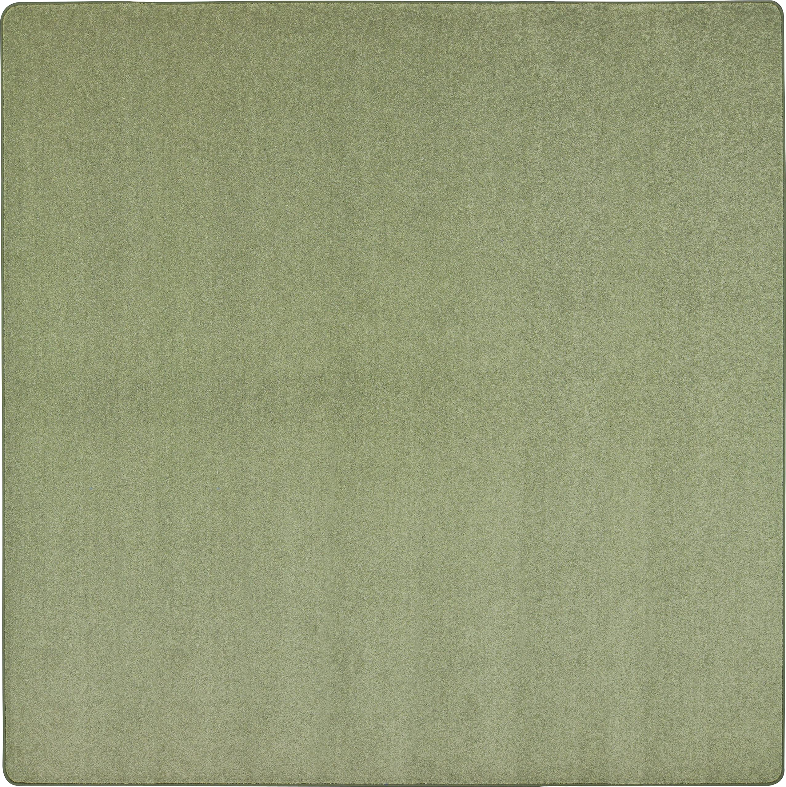 Joy Carpets Kid Essentials Endurance 12 x 12 Indoor Area Rug in Color