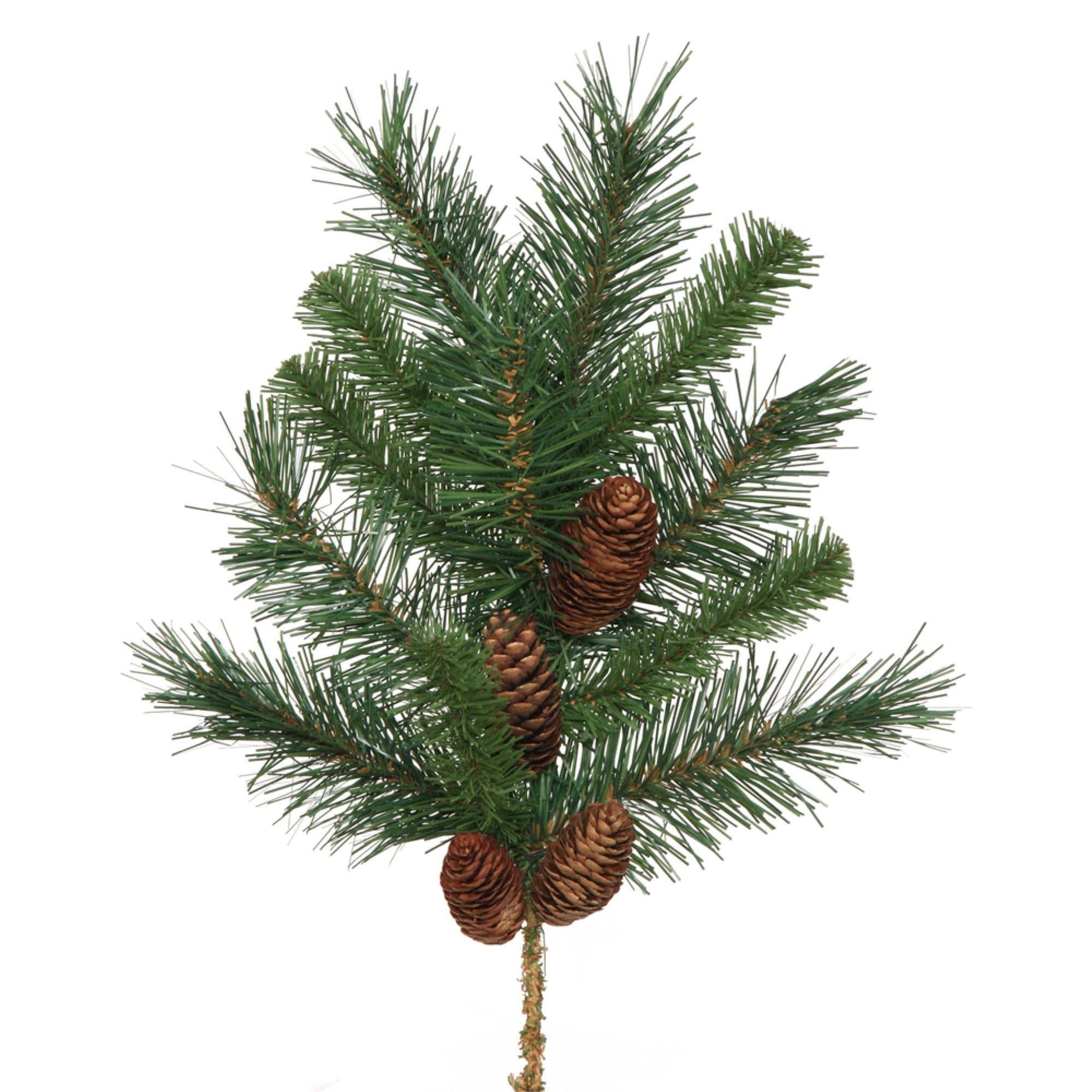 18” Cheyenne Spray 4 Cones 12Tips PK/6