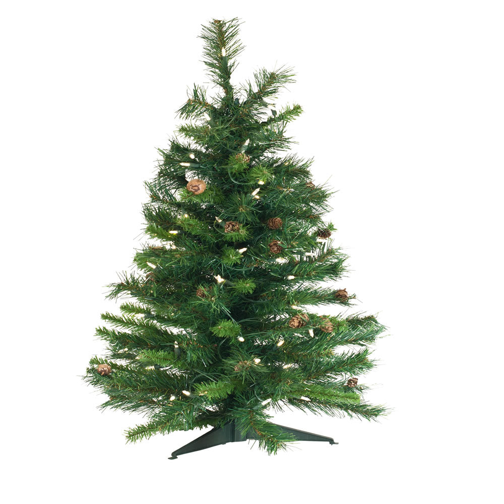 Vickerman 3' x 22″ Cheyenne Pine 115T 100WmWht LED - A801004LED