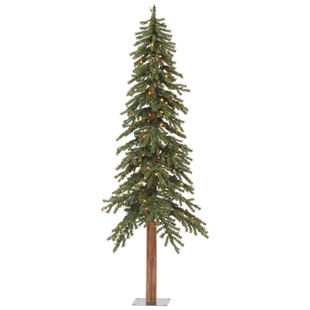 Vickerman 6'x 33″ Natural Alpine Tree 657T 250MU - A805162