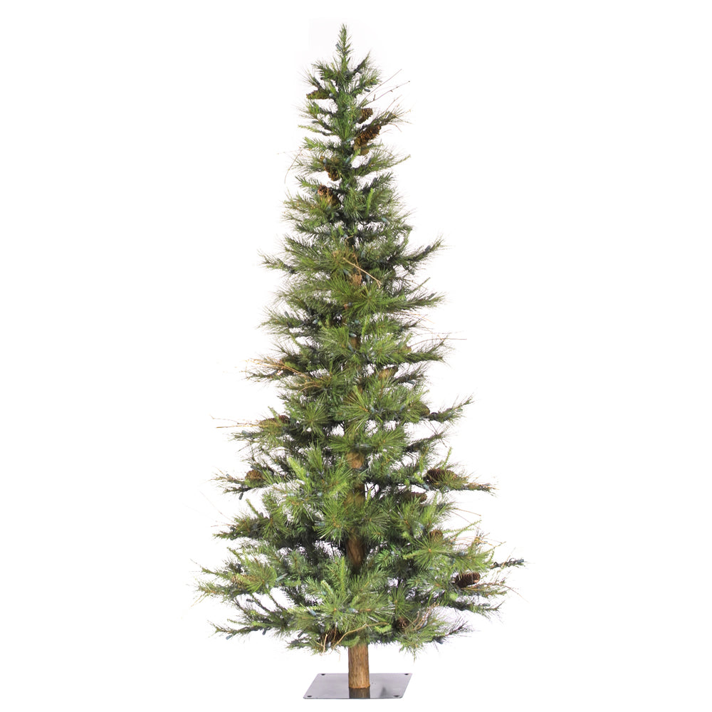 Vickerman 6' x 41″ Ashland 741 Tips Pine Cones - A807560