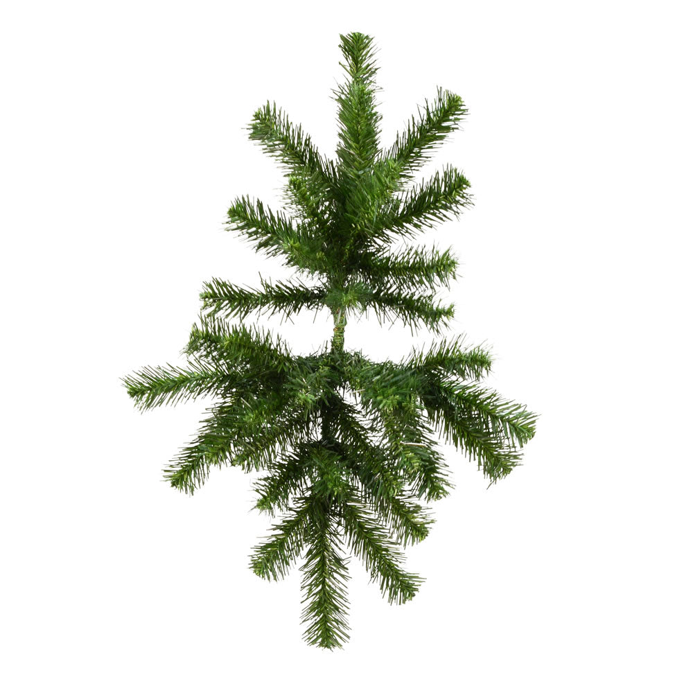 Vickerman 24″ Douglas Fir Swag 37 Tips - A808708