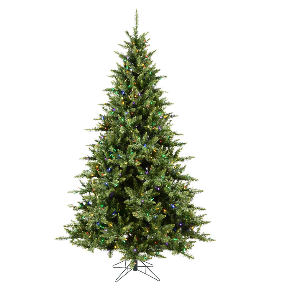 Vickerman 12' x 80” Camdon Fir 2100 Multi LED - A860992LED