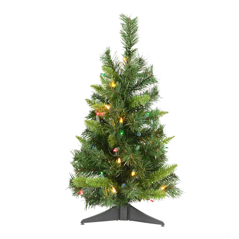 Vickerman 24″ Imperial Pine Tree 50 Multi 72T - A877122
