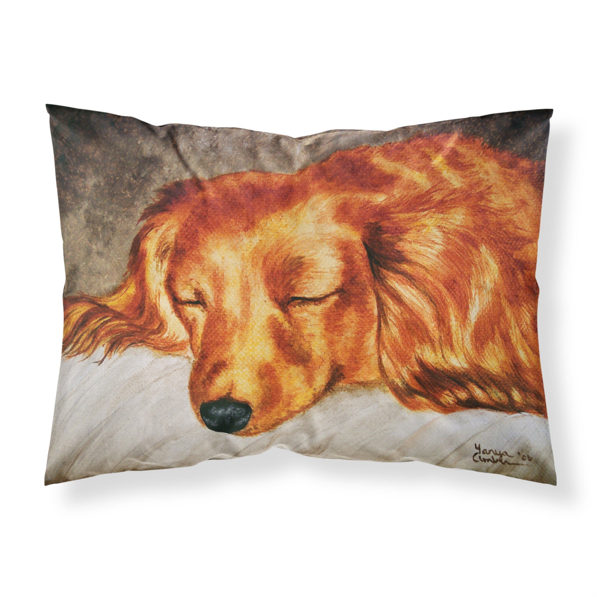 Caroline'S Treasures Red Longhaired Dachshund Fabric Standard Pillowcase Amb1202Pillowcase, Multicolor