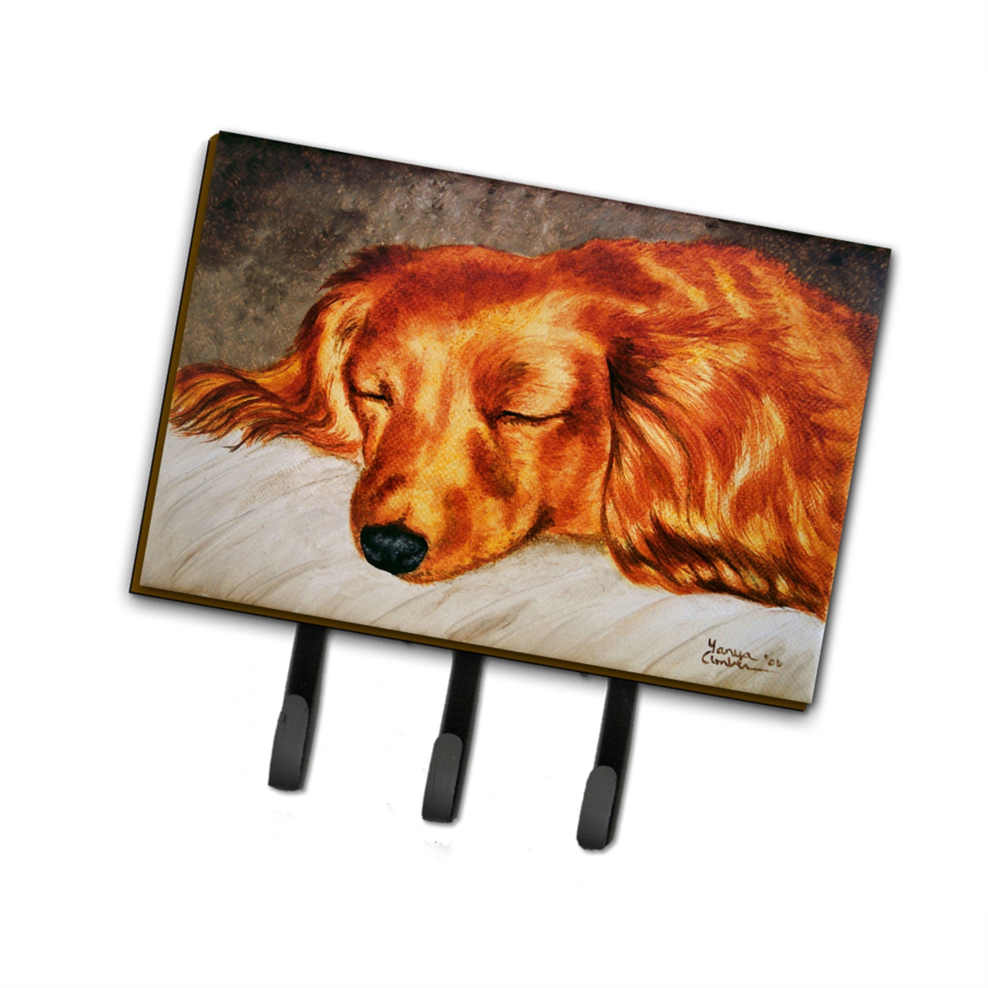 Caroline'S Treasures Amb1202Th68 Red Longhaired Dachshund Leash Or Key Holder, Large, Multicolor