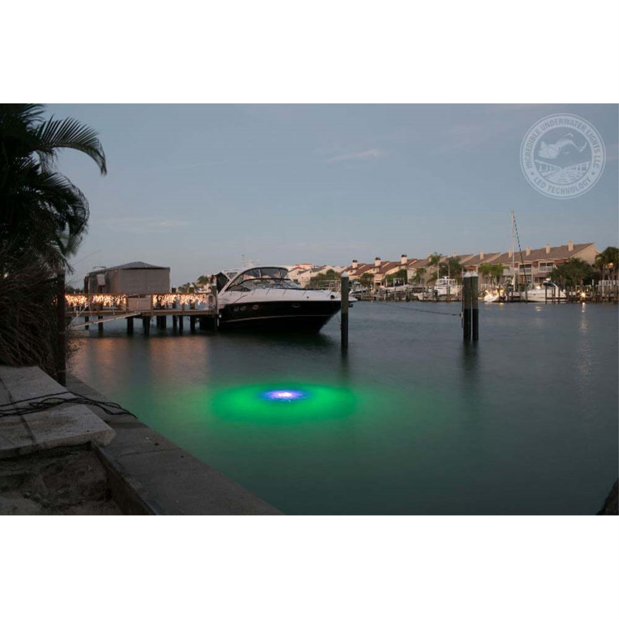 Blue/Green Apollo Iris Underwater Led Lighting System (120 Foot Power Cord)