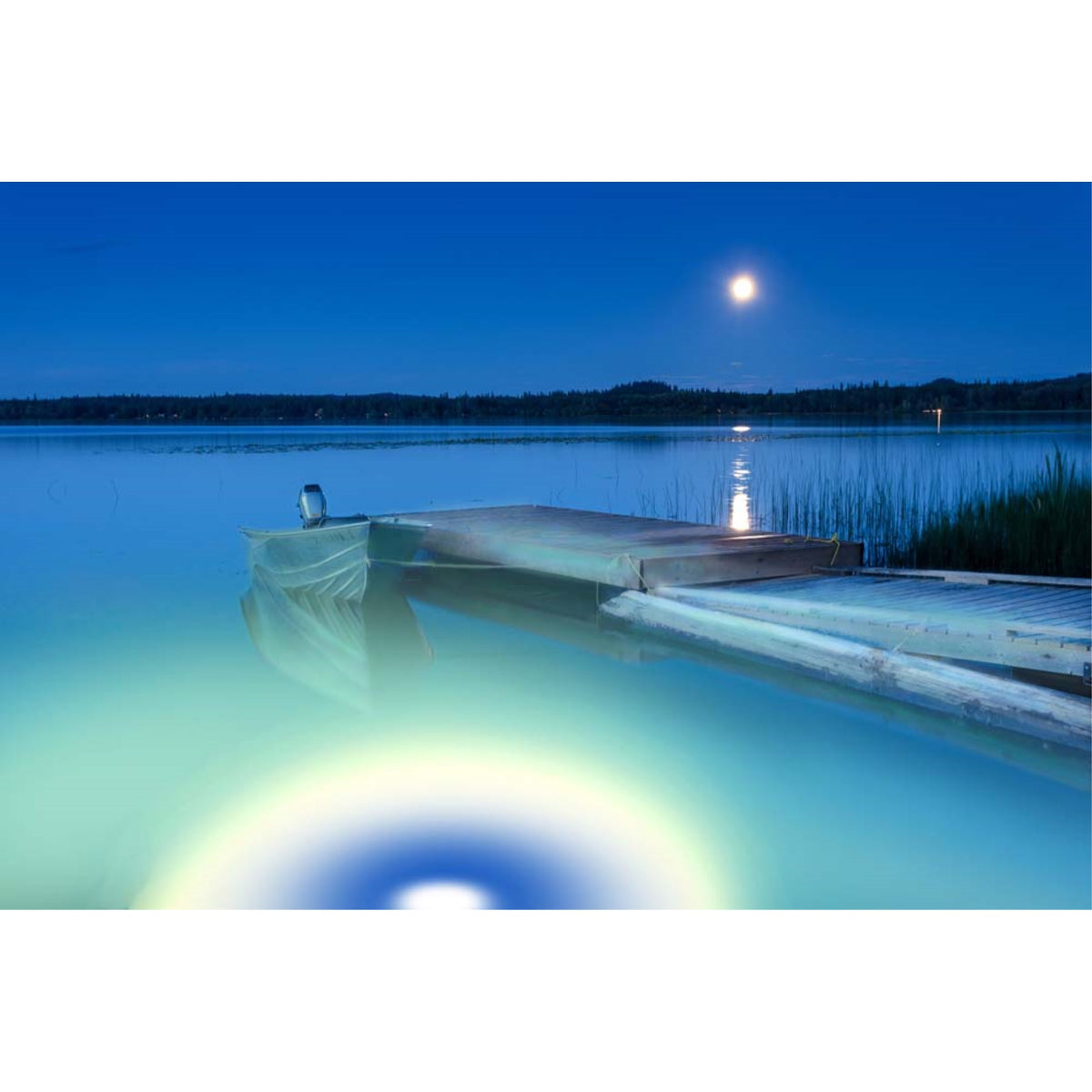 Blue/White Apollo Iris Underwater Led Lighting System (120 Foot Power Cord)